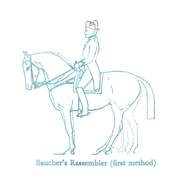 Julie Pieda 17 Baucher’s Rassember (first method), screenprint LR.jpg