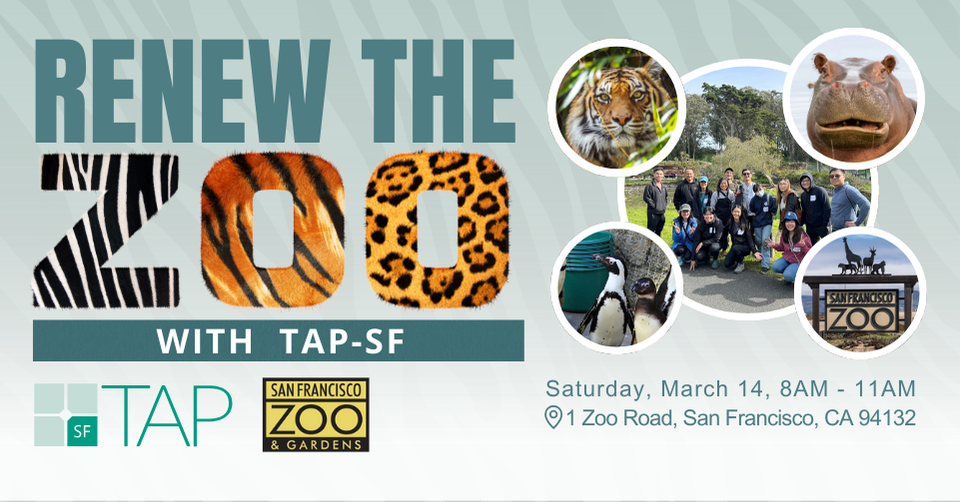 Renew the SF Zoo with TAP-SF