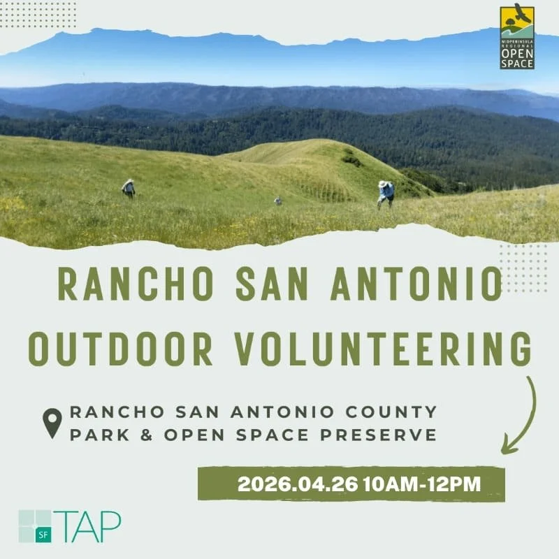 Outdoor Volunteering at Rancho San Antonio