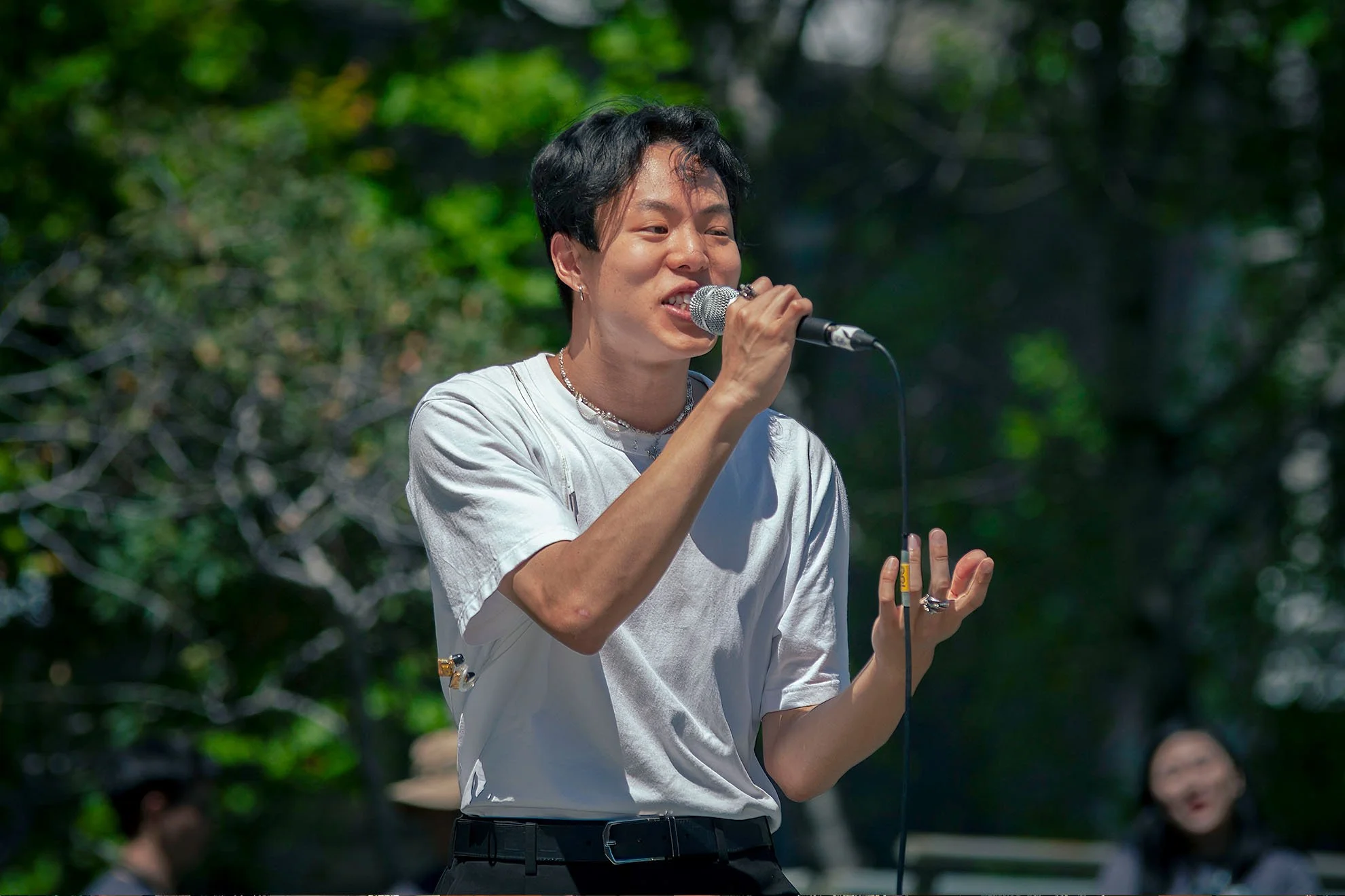 Taiwanese American Cultural Festival 2024