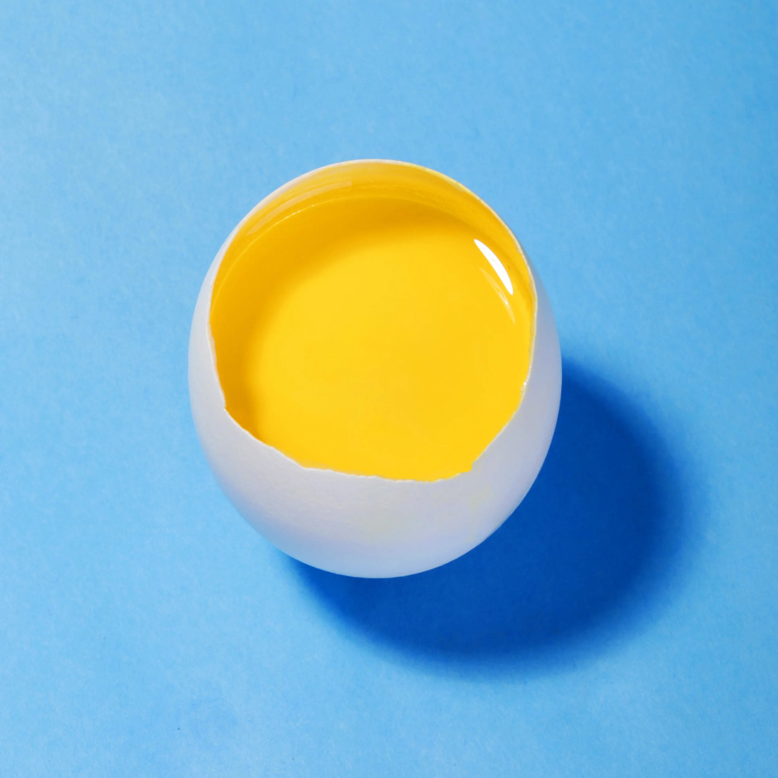 bluesingleegg.jpg