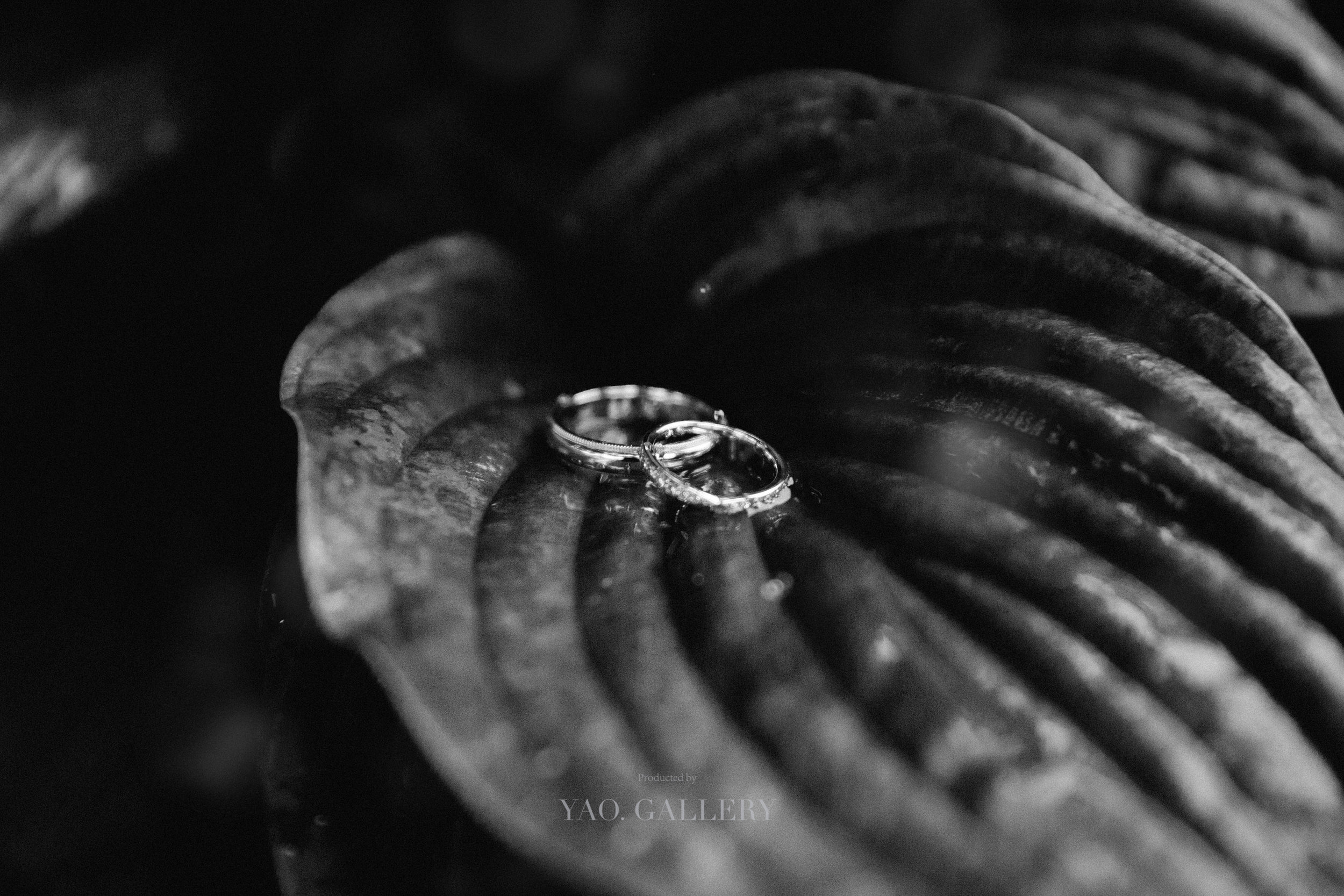 2019.01.26portfolios-13.jpg