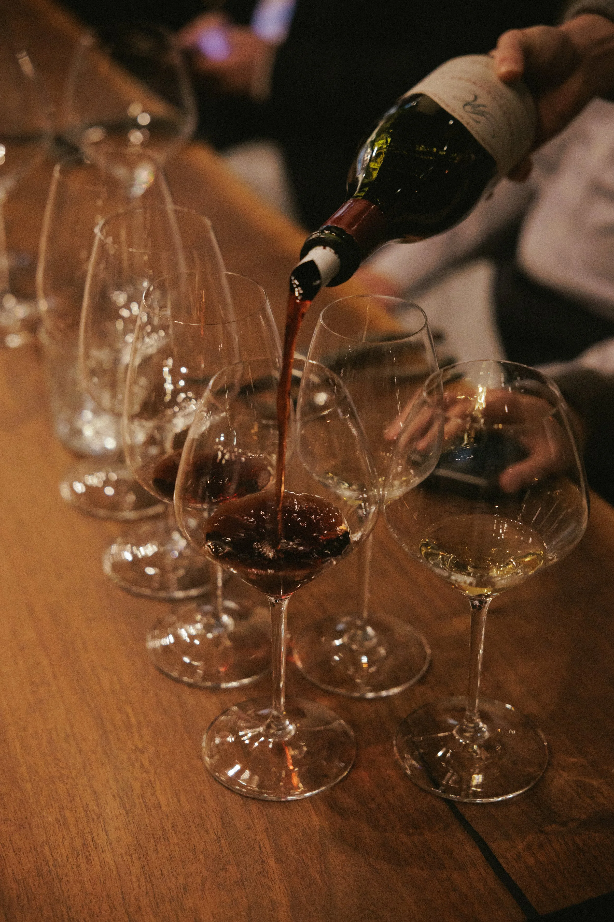 20250228 Regency group_1332.jpg