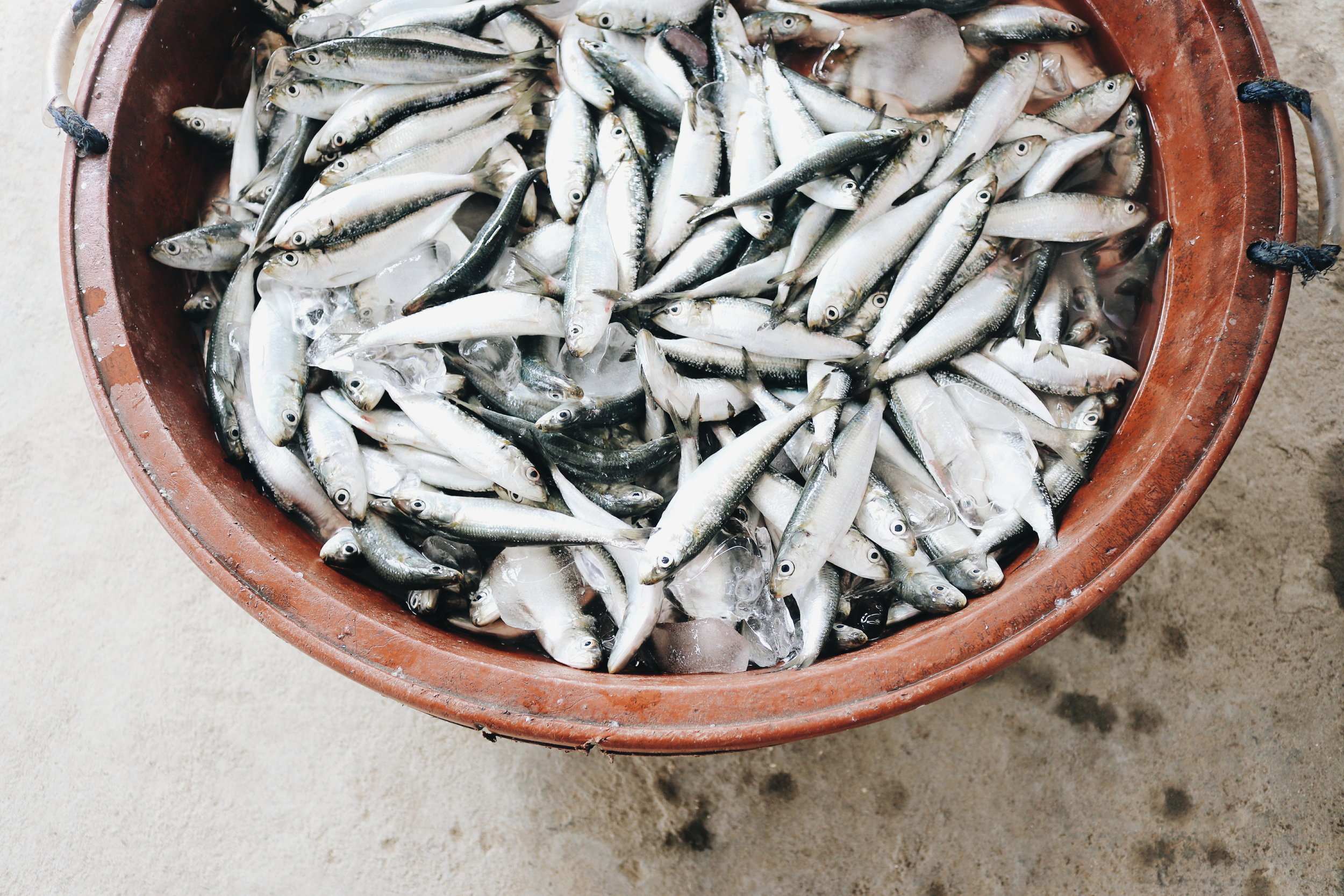 Photo by Zeshalyn Capindo on Unsplash