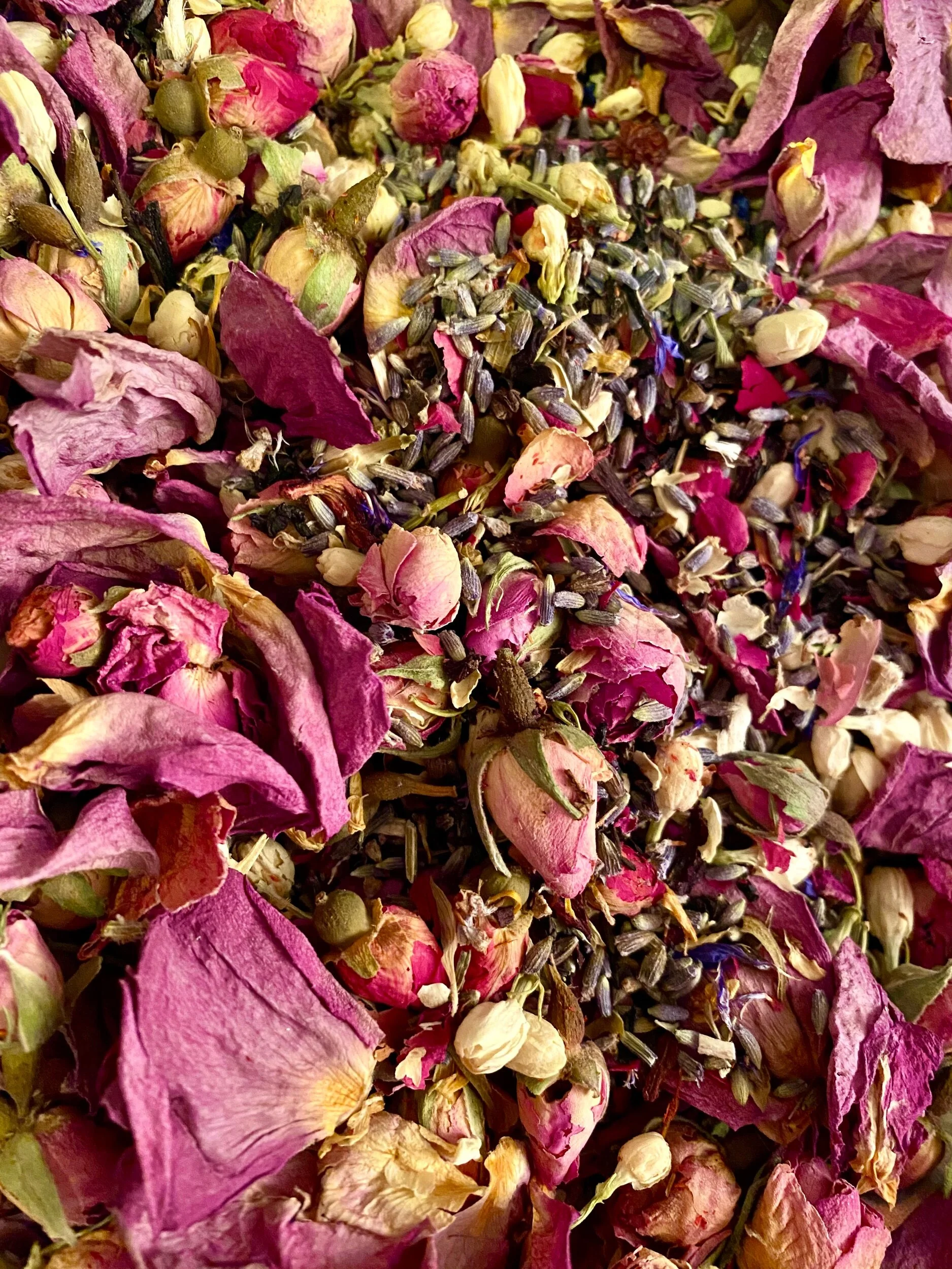 201E9B66-6DA4-4463-8113-FCF325685503