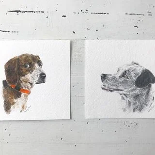 Dogs 2-min.jpg