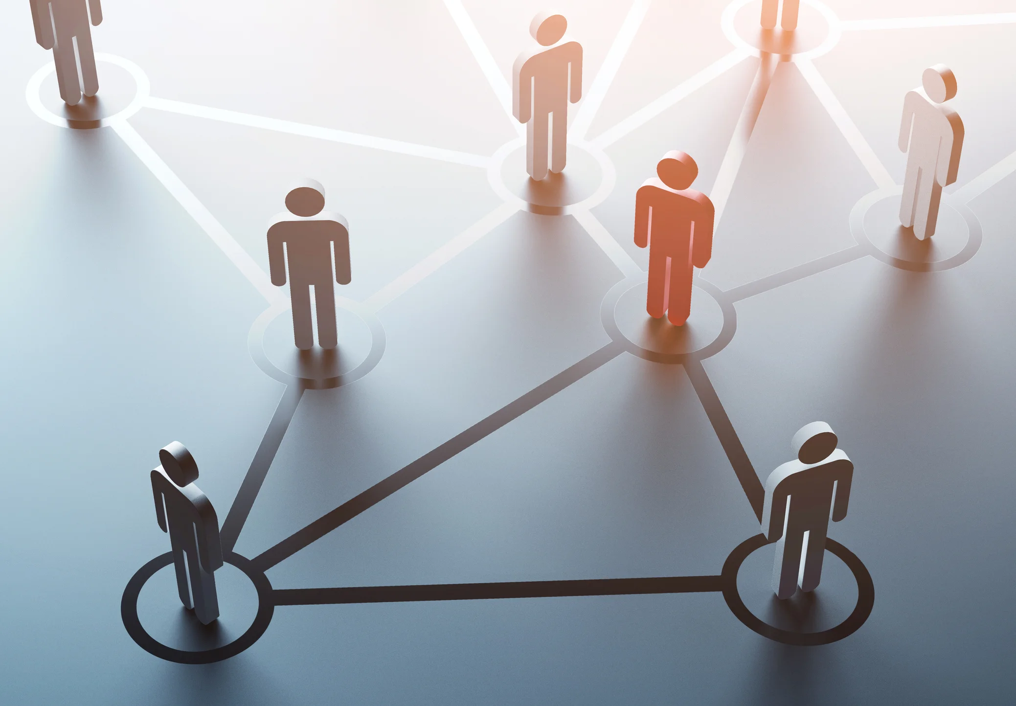 Palliative Care Organizations