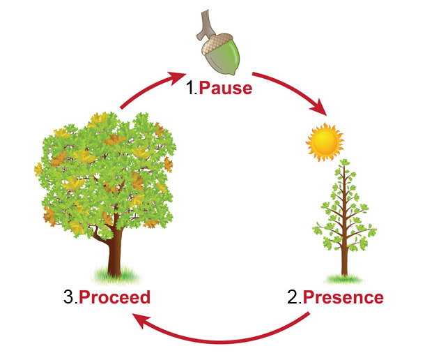Pause, Presence, Proceed