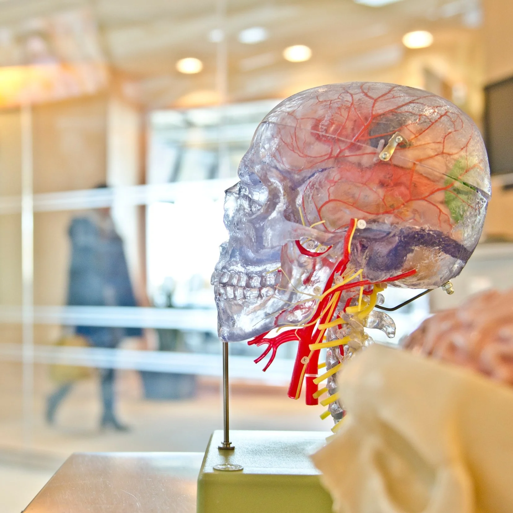 A Physician Responds to New Yorker article on Jahi McMath