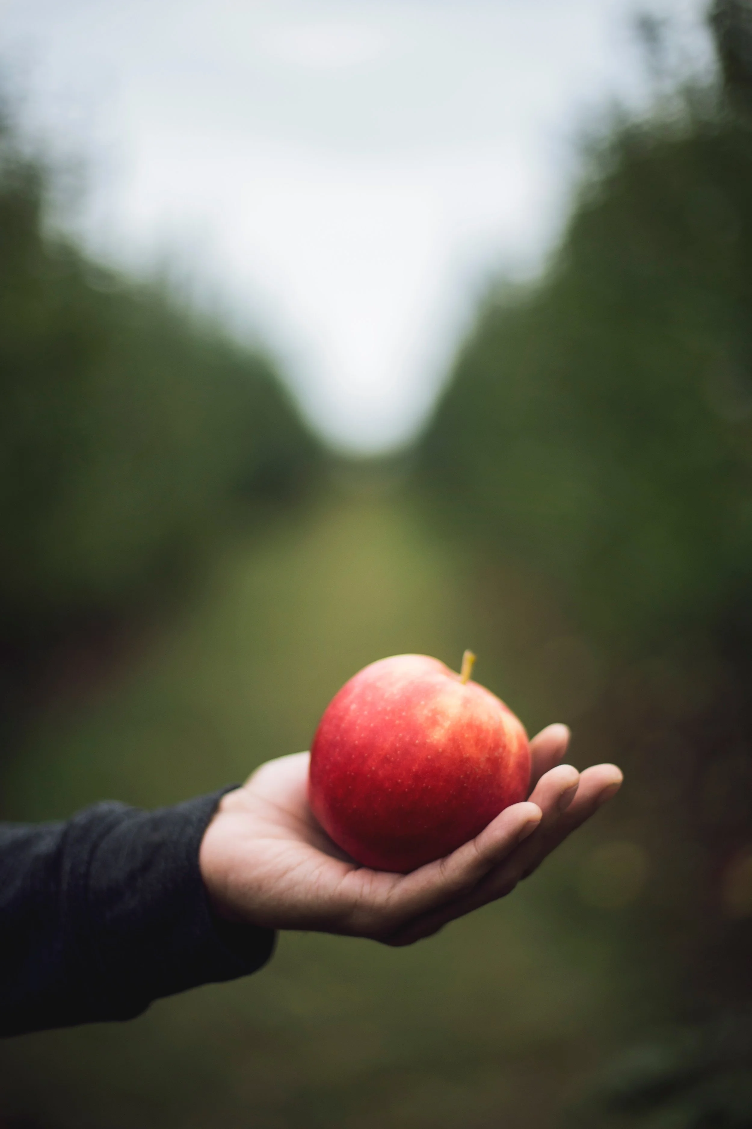 A Recipe for Avoiding Burnout