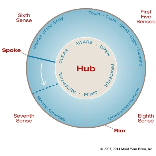 DrDanSiegel_WheelOfAwareness.jpg
