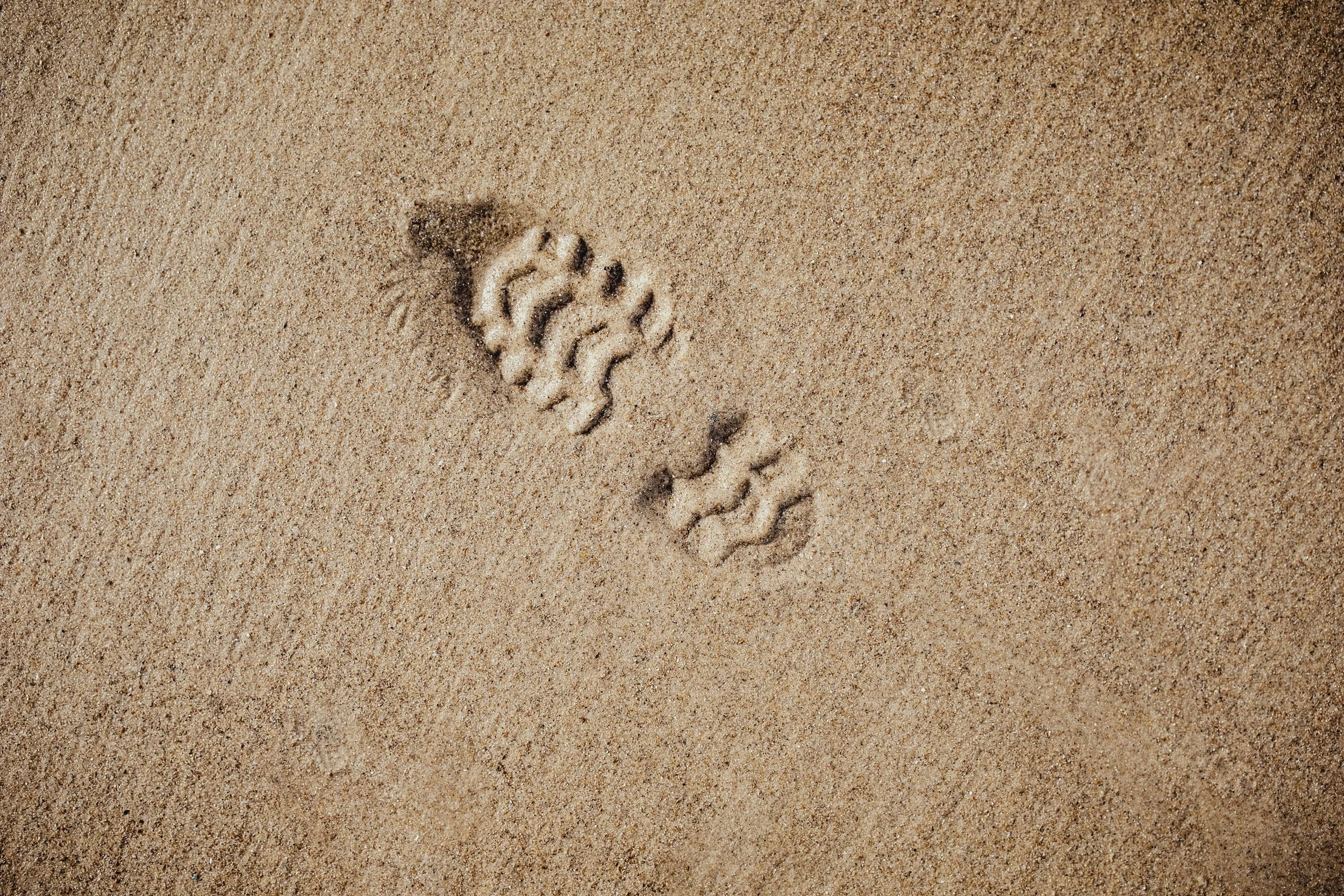 Creating or Renewing Your Personal Mission Statement