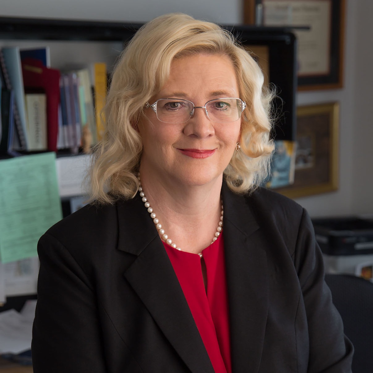 National Guidelines for Quality Palliative Care, 4th edition