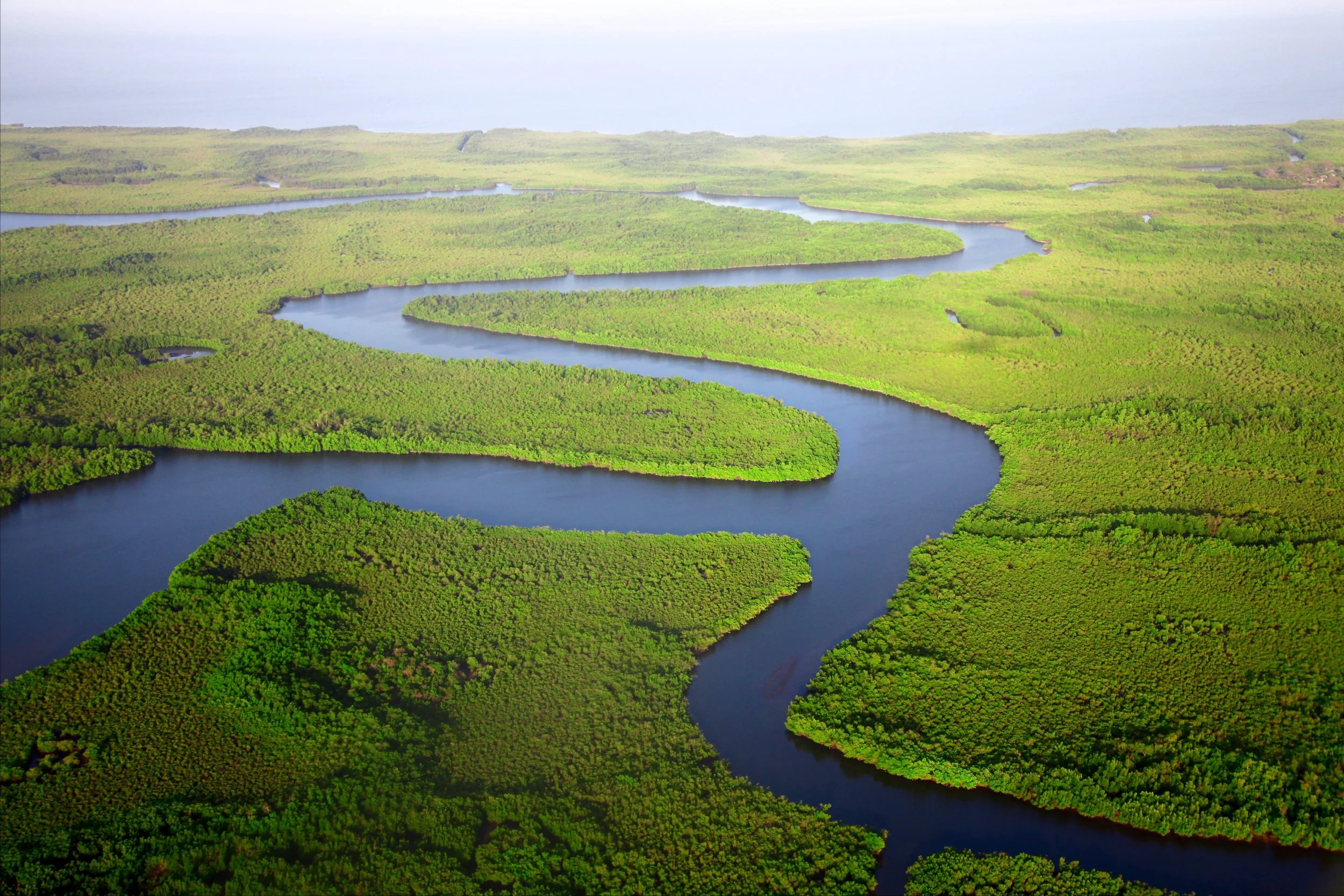 The river of life