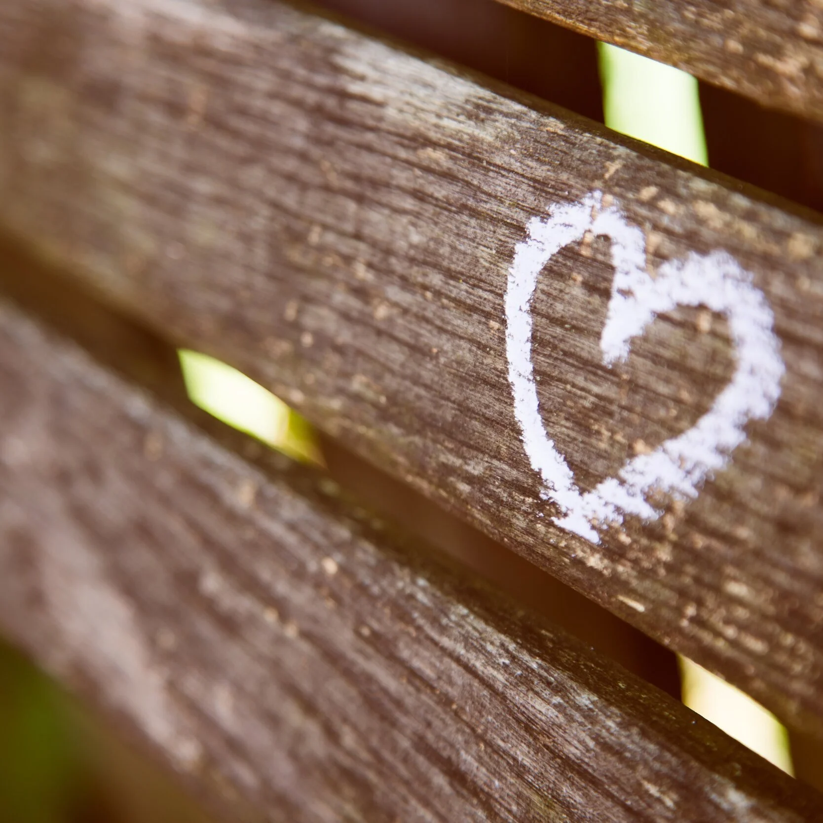 Guided Meditation: Facing What's Here With Compassion with Steph Stern