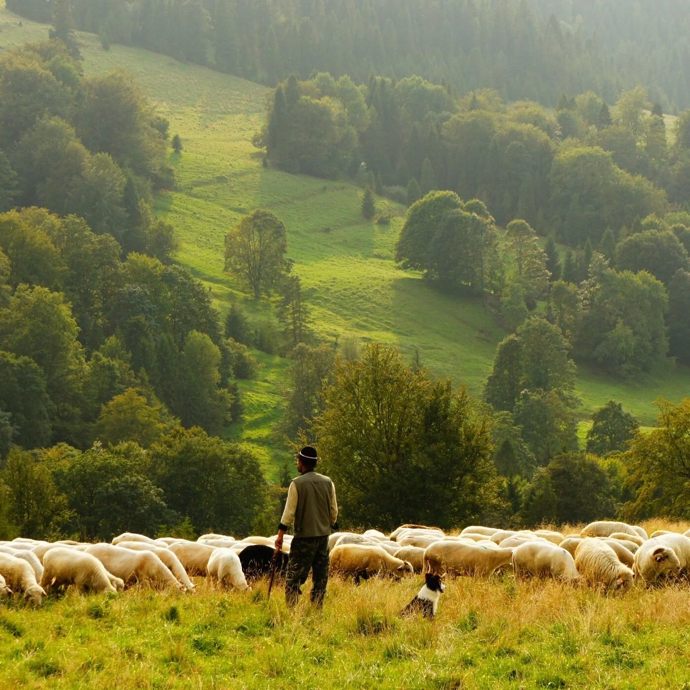 A First Nations Psalm 23 