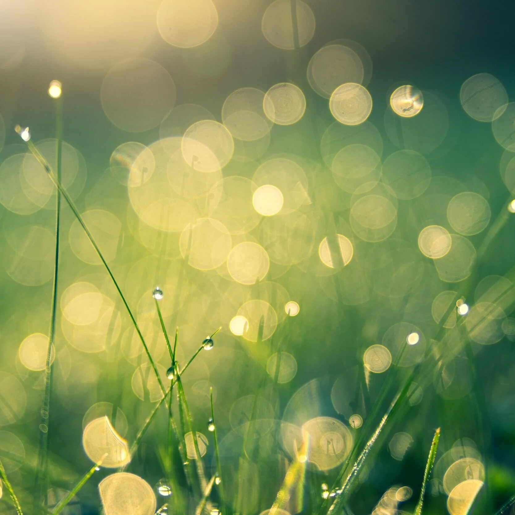 Pause, Breathe, and Heal with the Catholic Health Association