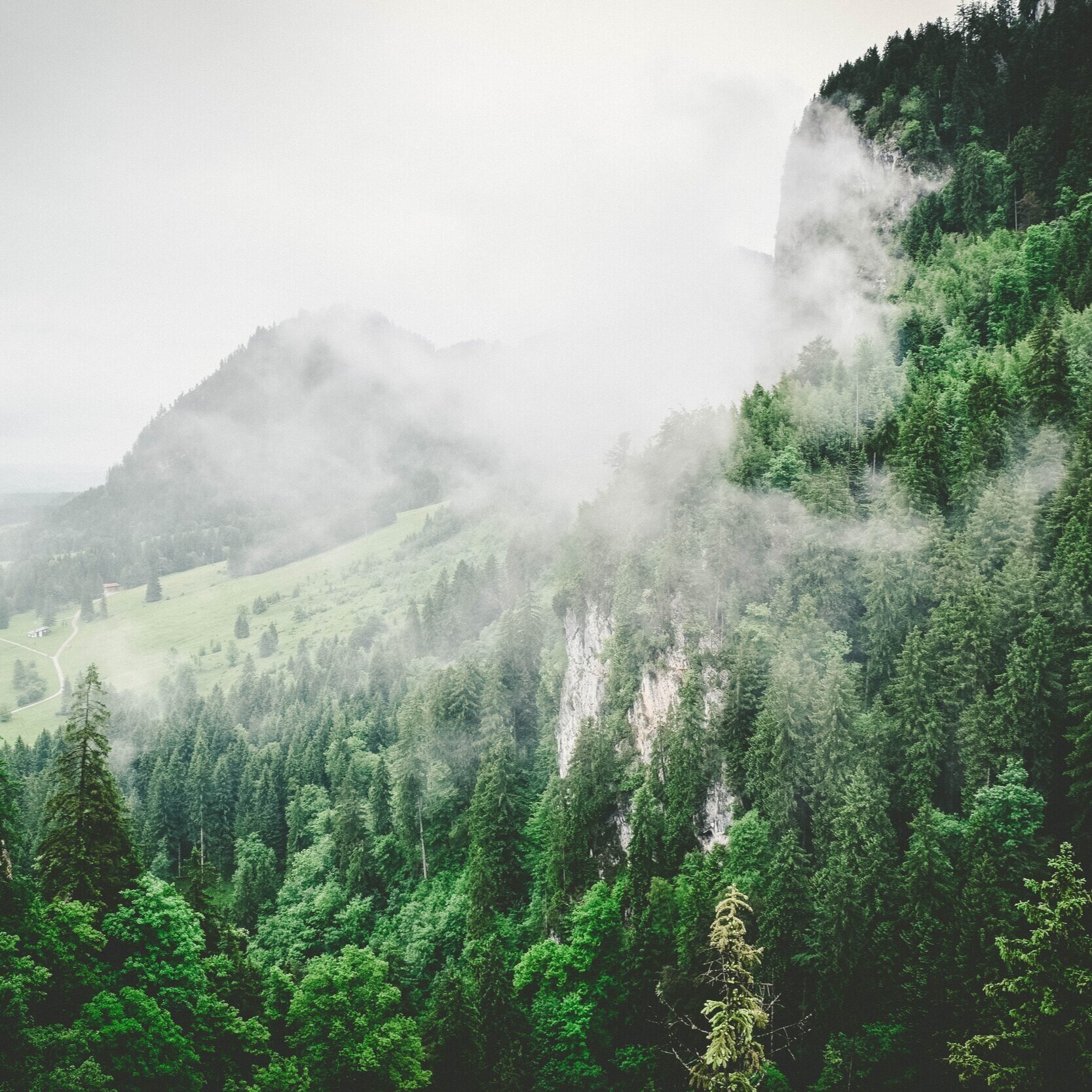 Pause, Breathe and Heal with the Catholic Health Association