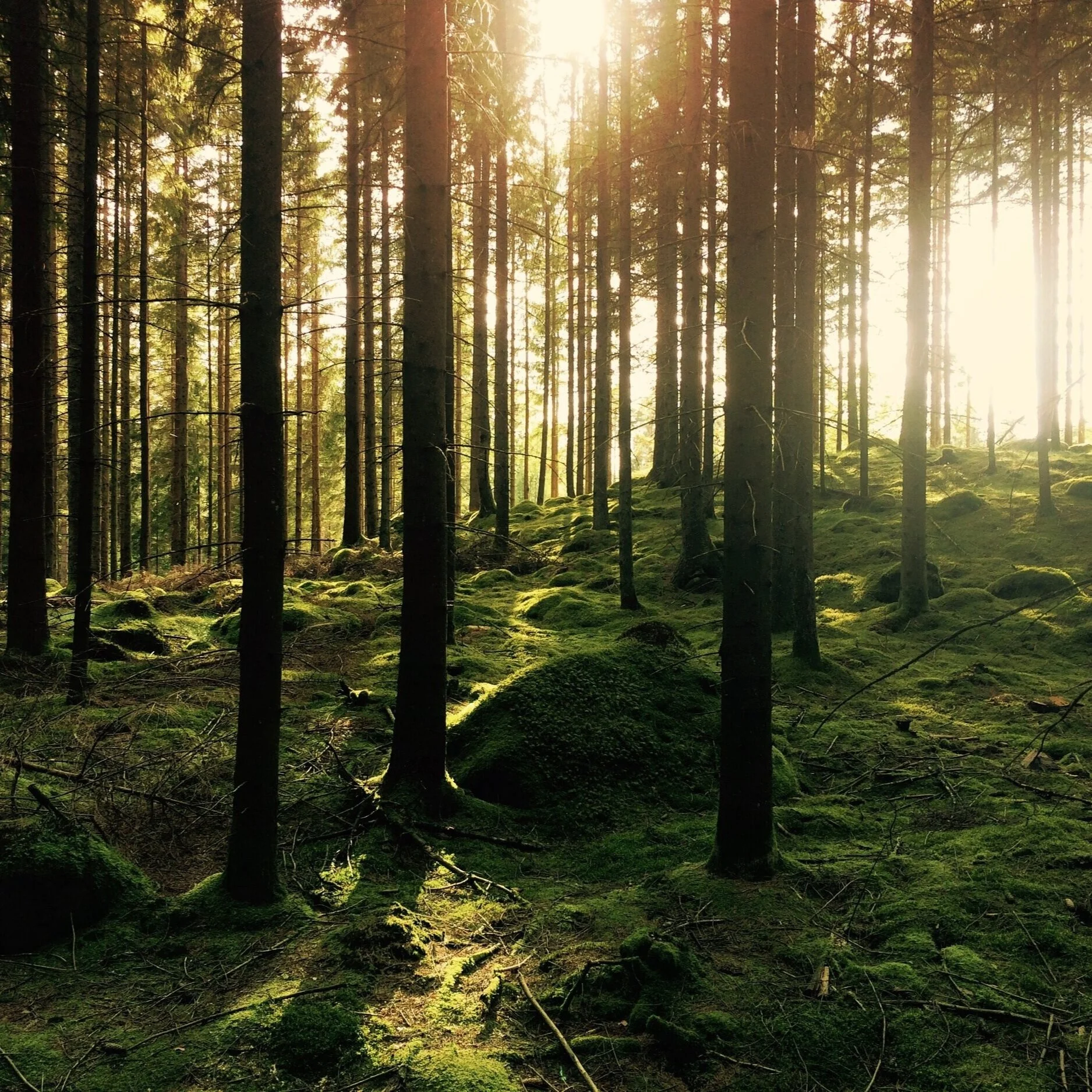 Finding Gratitude When it is Scarce