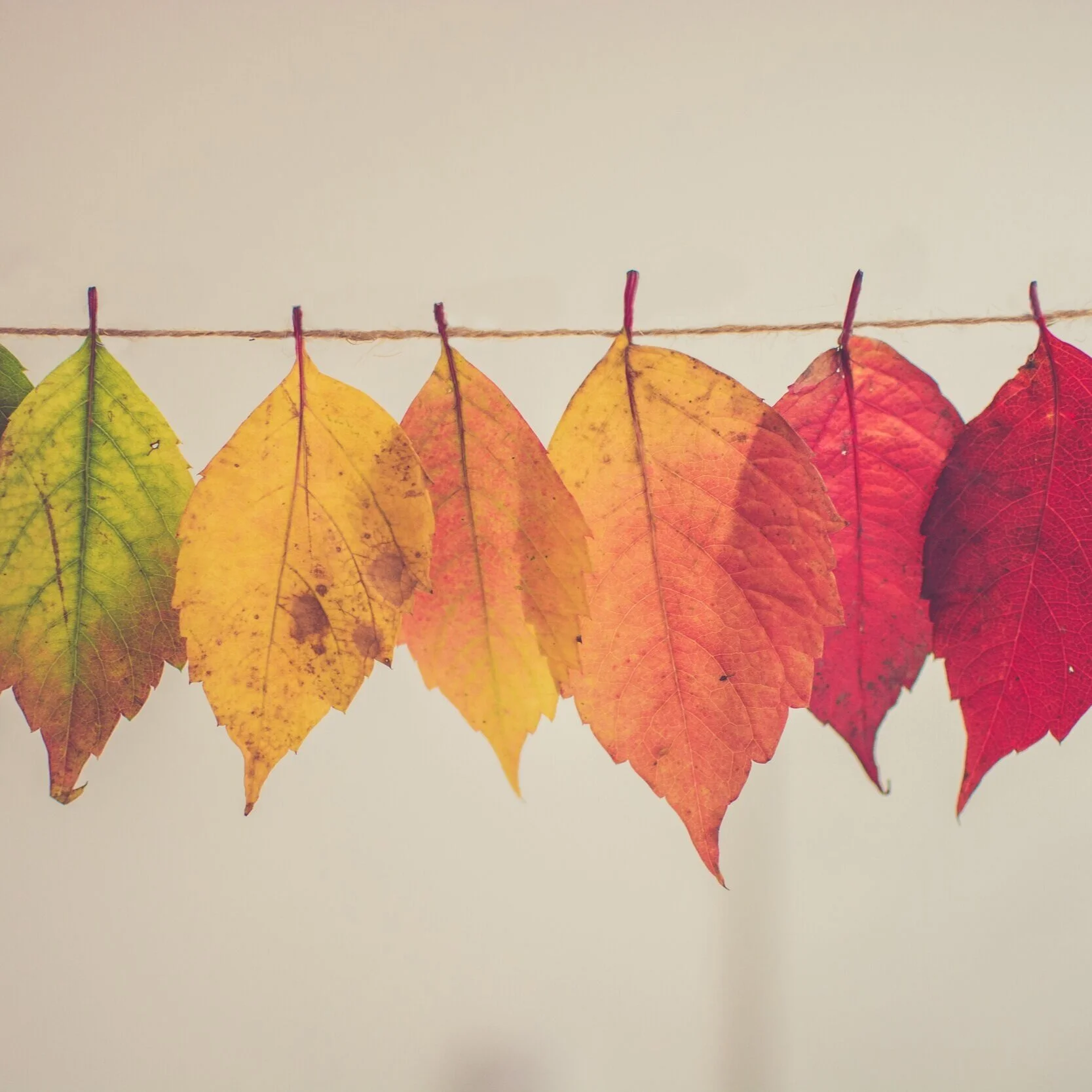 Everything Changes - Mindfulness Meditation with Joseph Goldstein