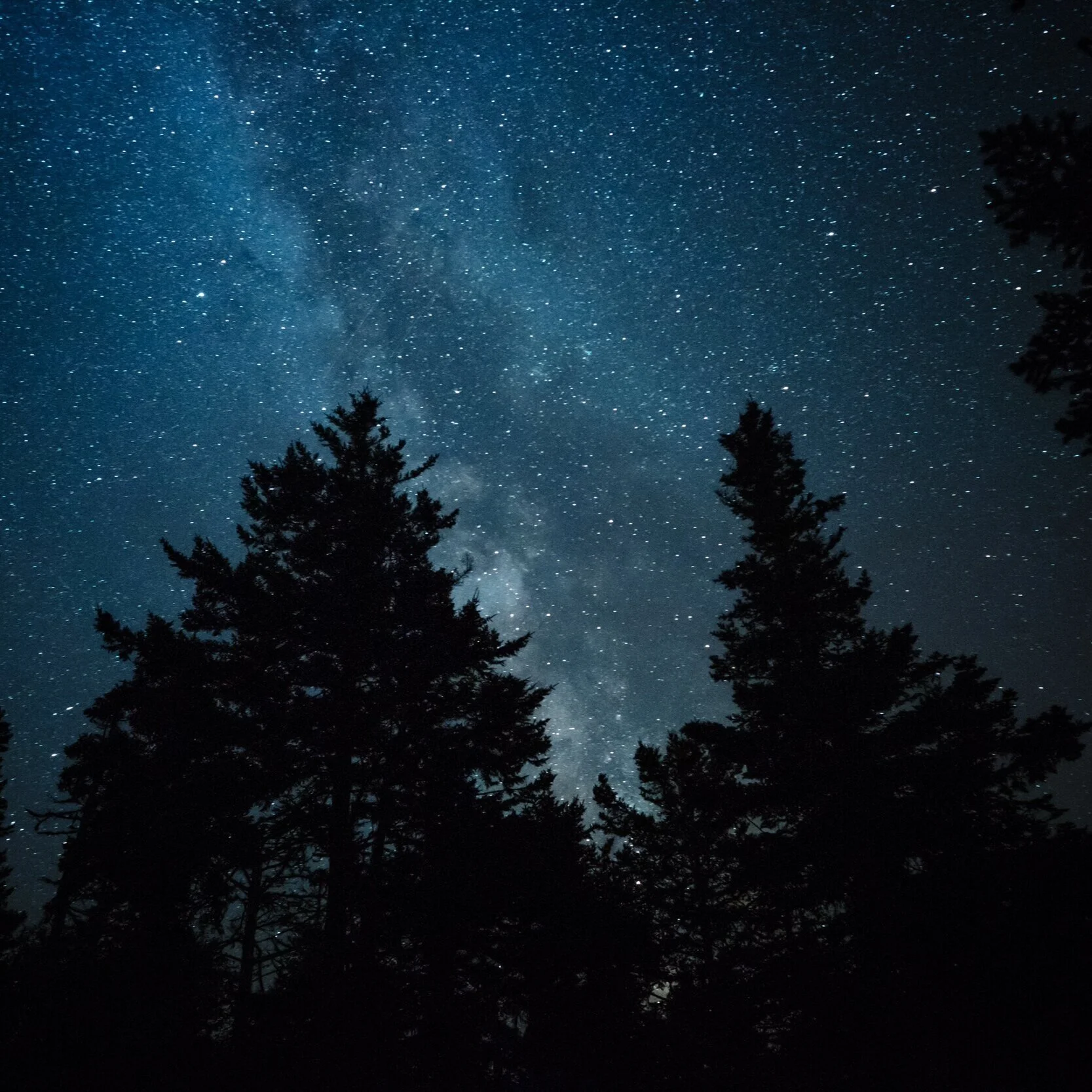 Poetry for a Pandemic with Ranier Maria Rilke