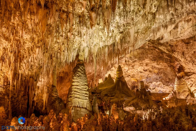 CARLSBAD CAVERNS - 1 HOUR, 45 MINUTES AWAY
