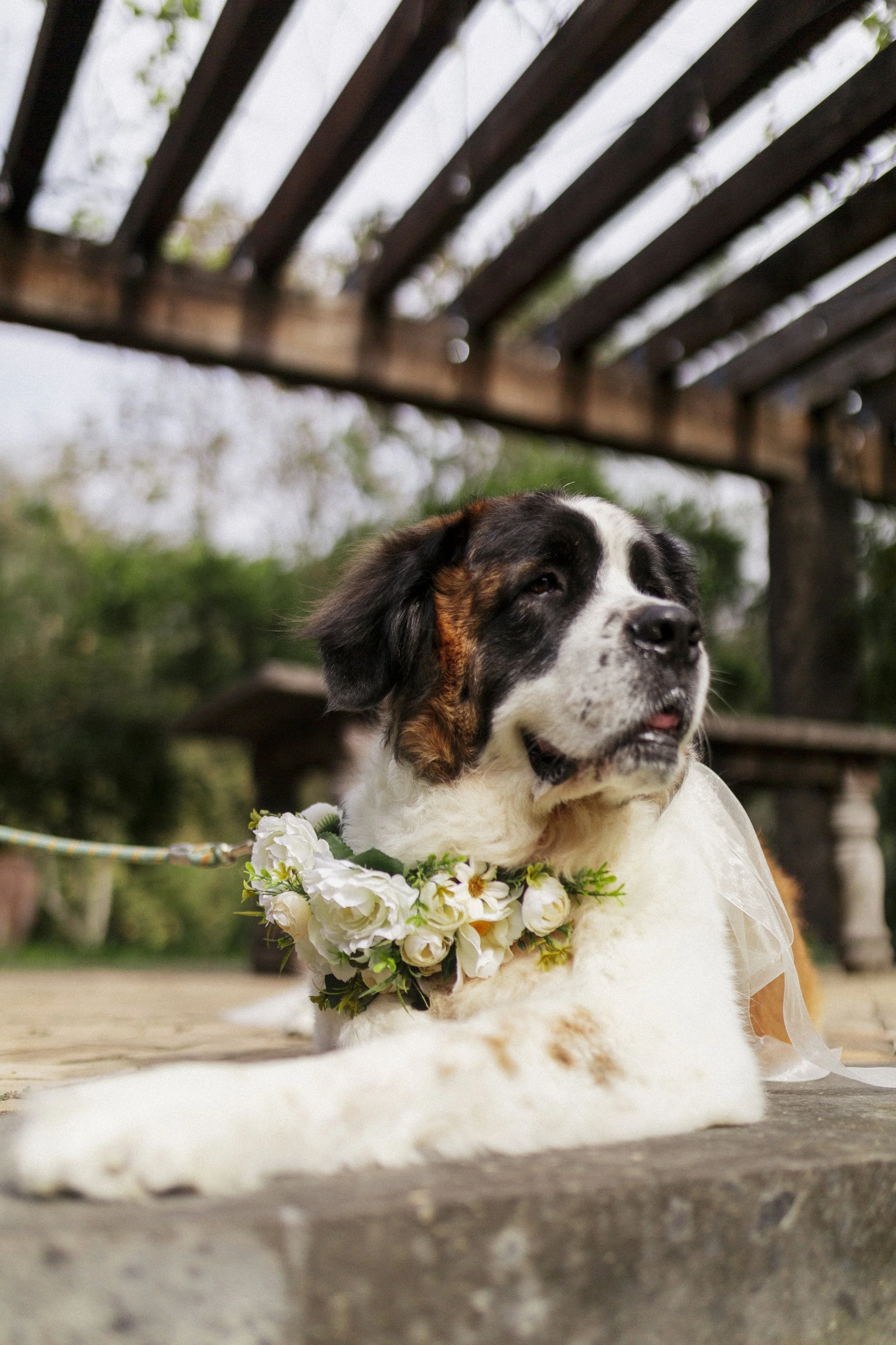 fotografo-boda146.jpg