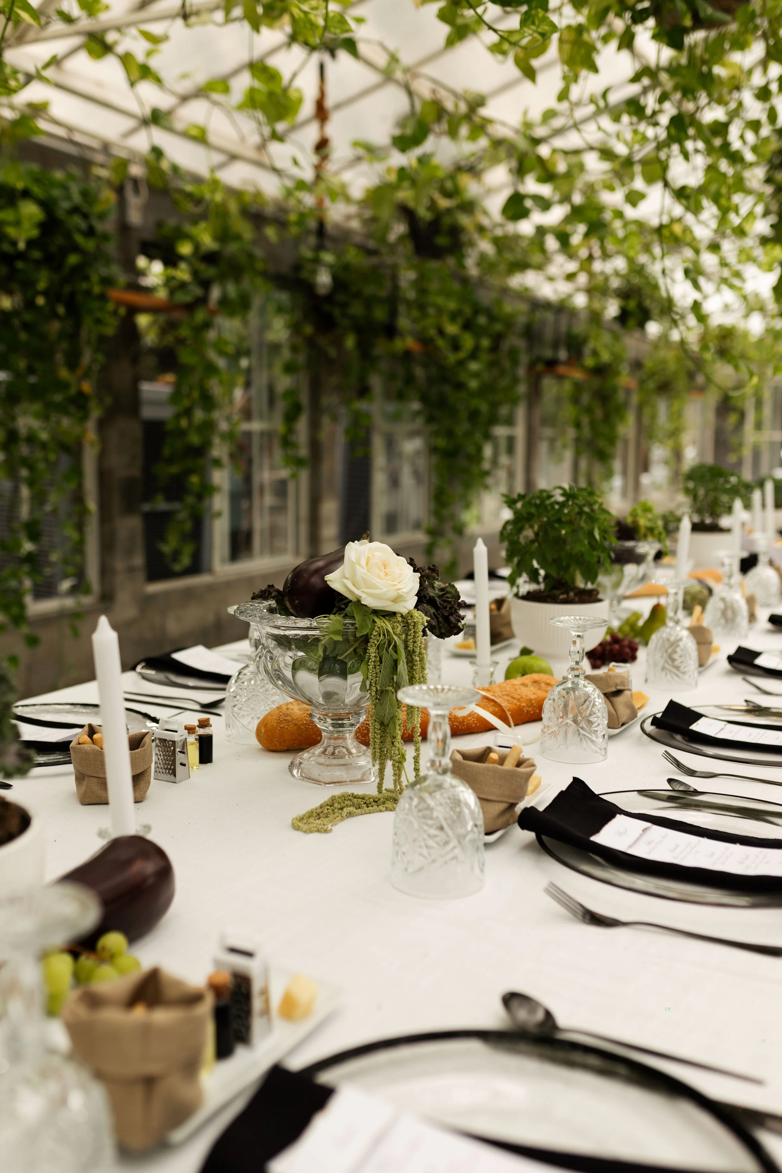 240727 - Marifer y Edu-014.jpg