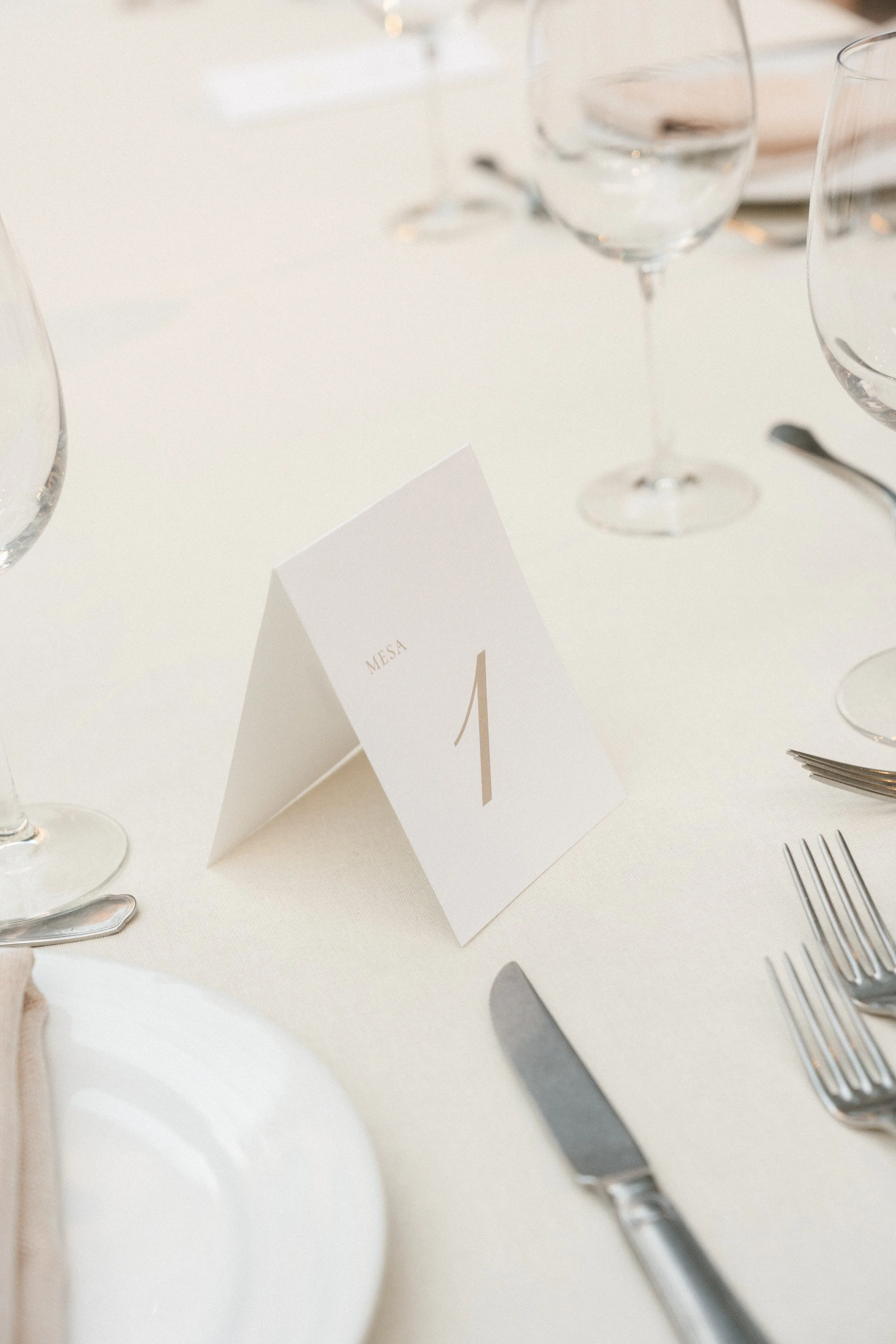 251108 - Ashley y Diego - Boda562.jpg