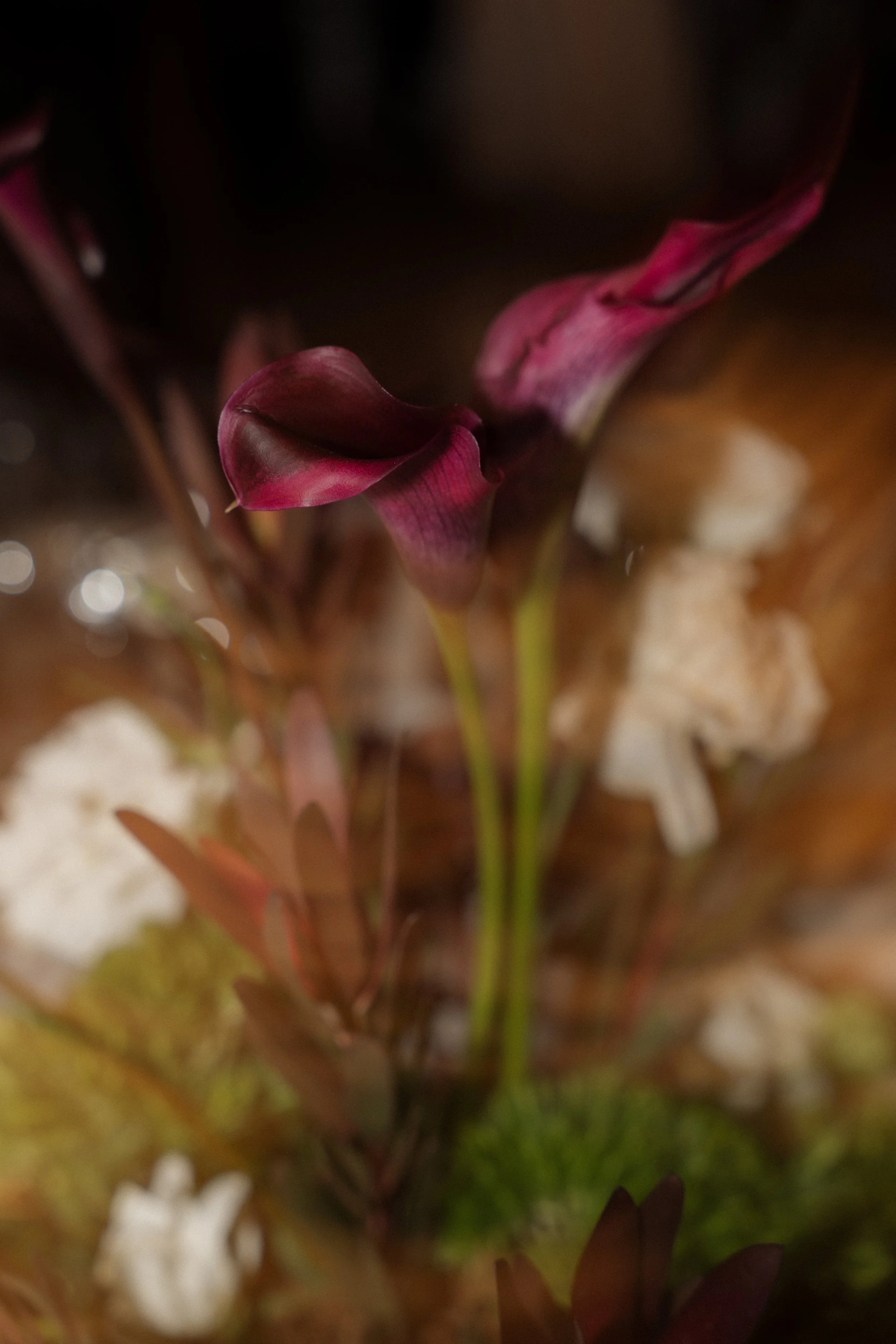 250726 - Cristy y Adrián - 0641.jpg