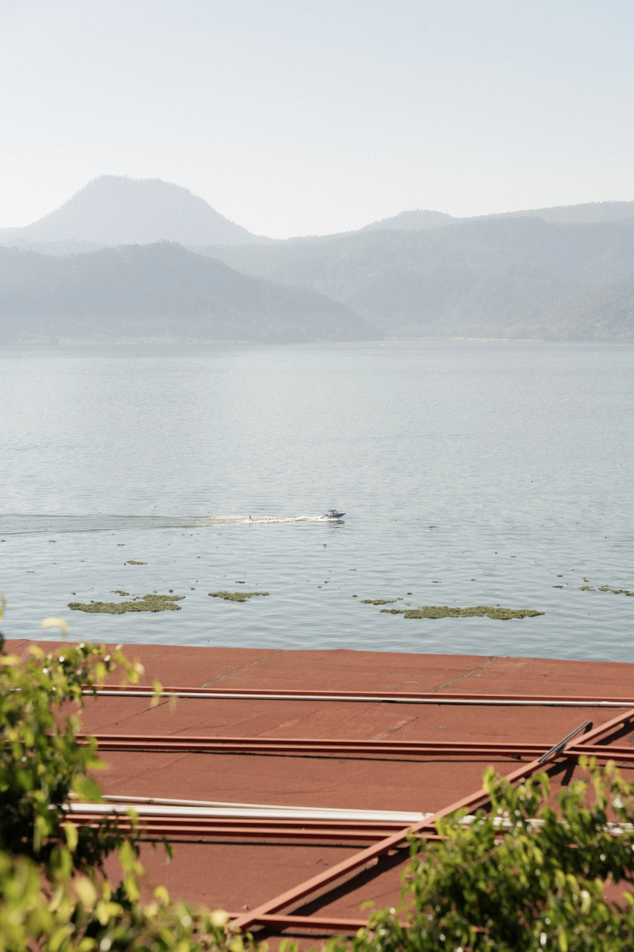 251115 - Arantxa y Brandon - 007.jpg