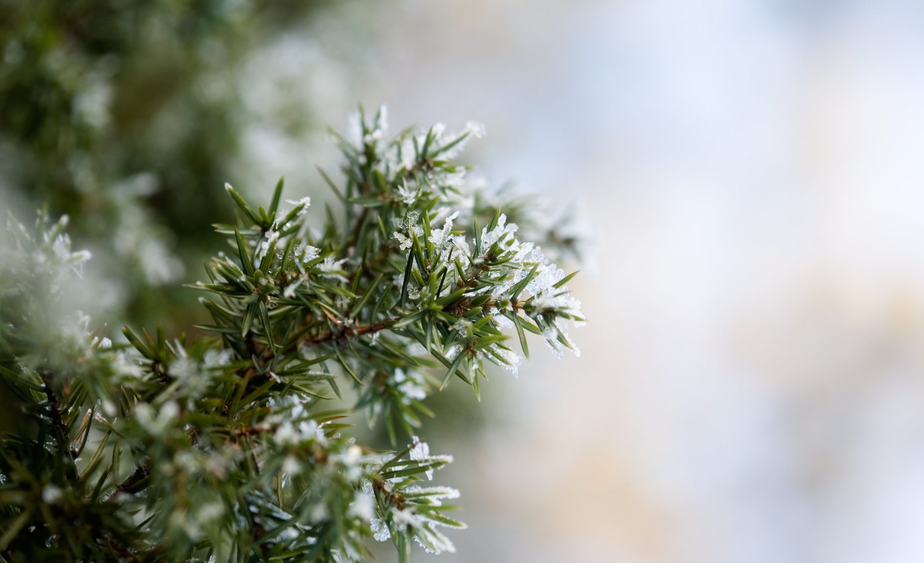 Depositphotos_6335809_m.jpg
