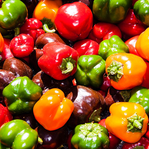 Baby Capsicums