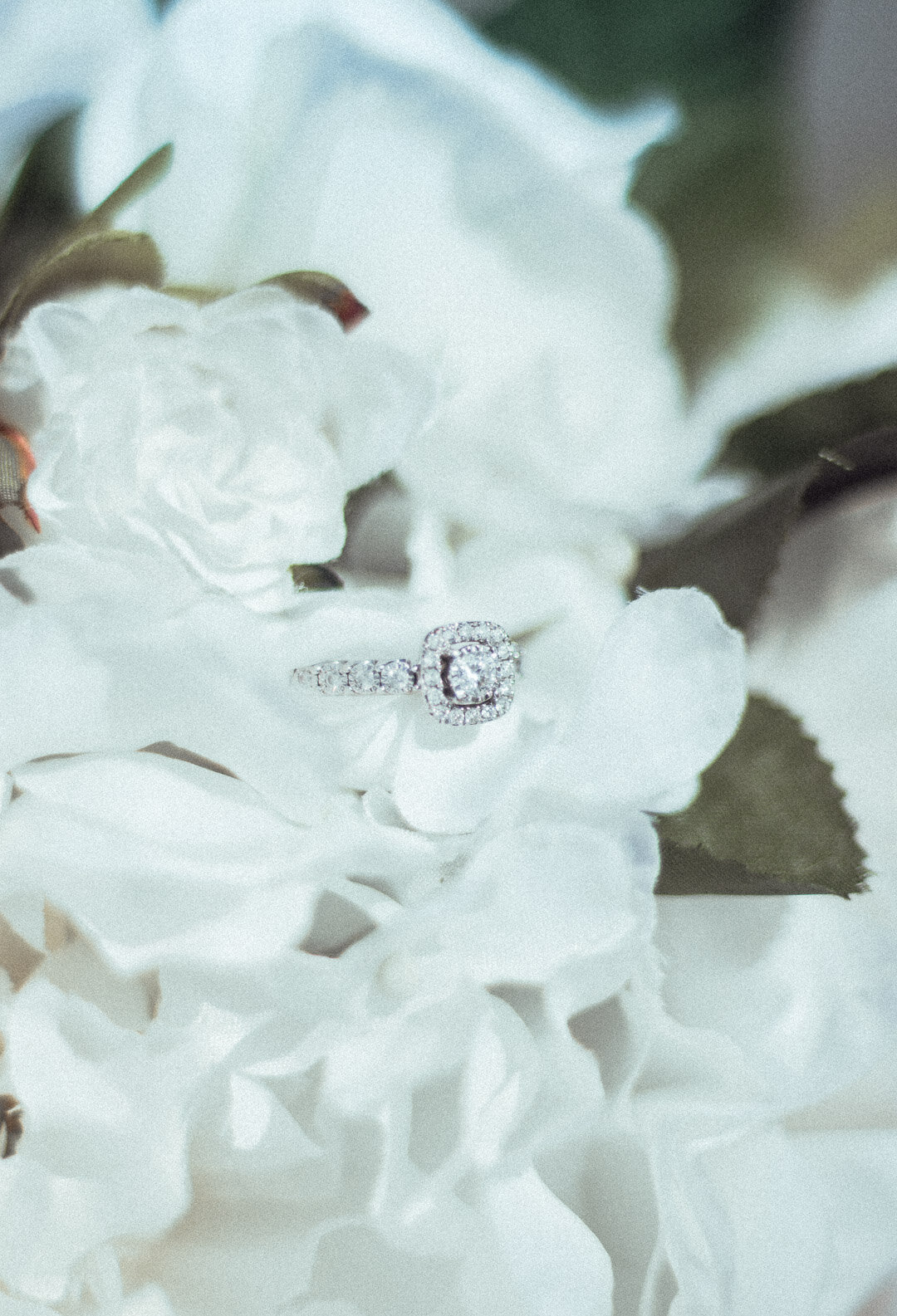 A close-up photograph of a diamond ring resting on white flowers.