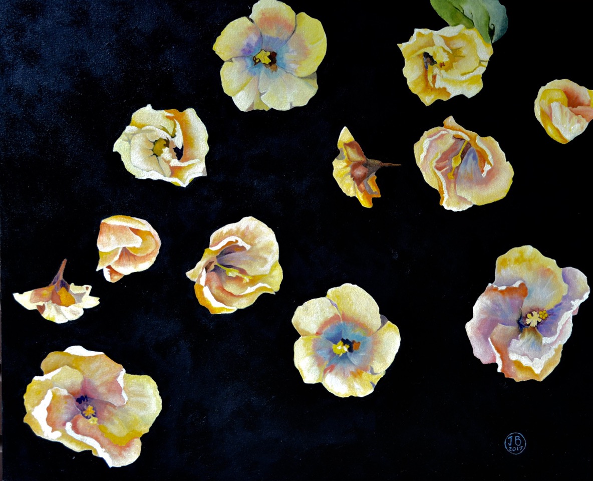 Hibiscuses.jpeg