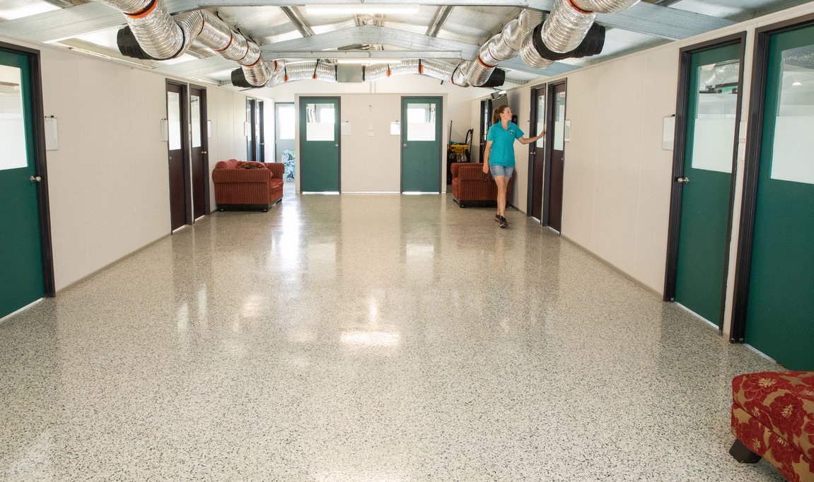 Main Kennel - quiet, clean, climate controlled (Copy)