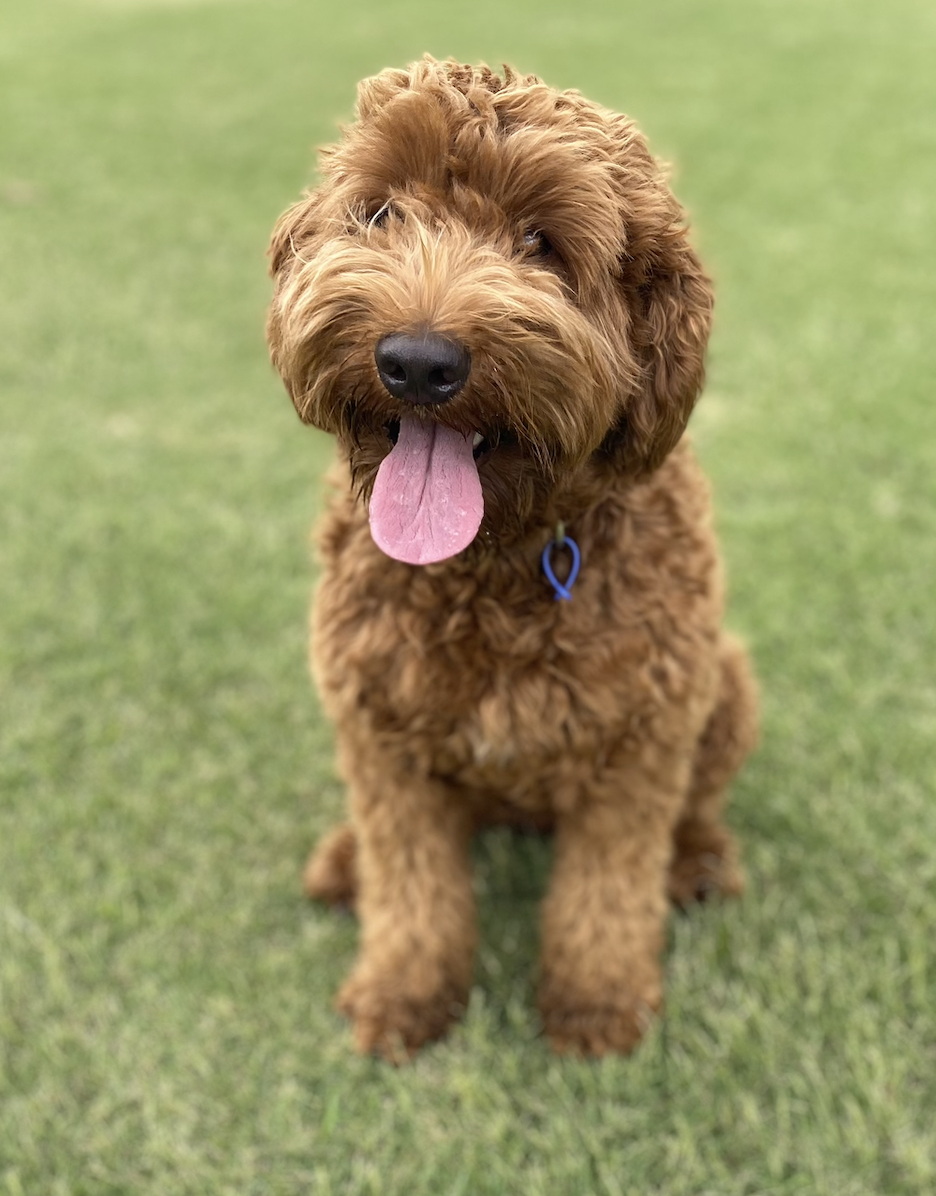 Screenshot 2025-12-06 at 10.37.55 am.png