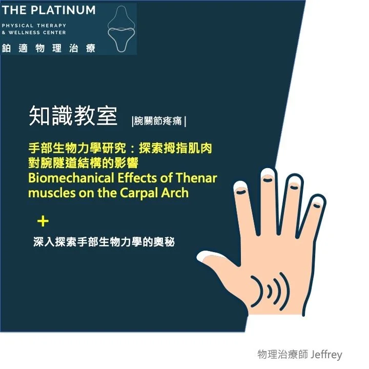 手部生物力學研究：探索拇指肌肉對腕隧道結構的影響  Biomechanical Effects of Thenar muscles on the Carpal Arch