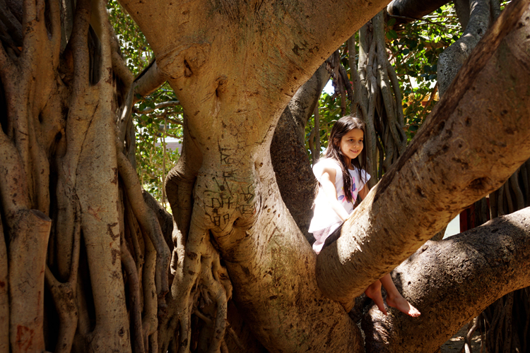 TreeClimbing2-SOOG.jpg