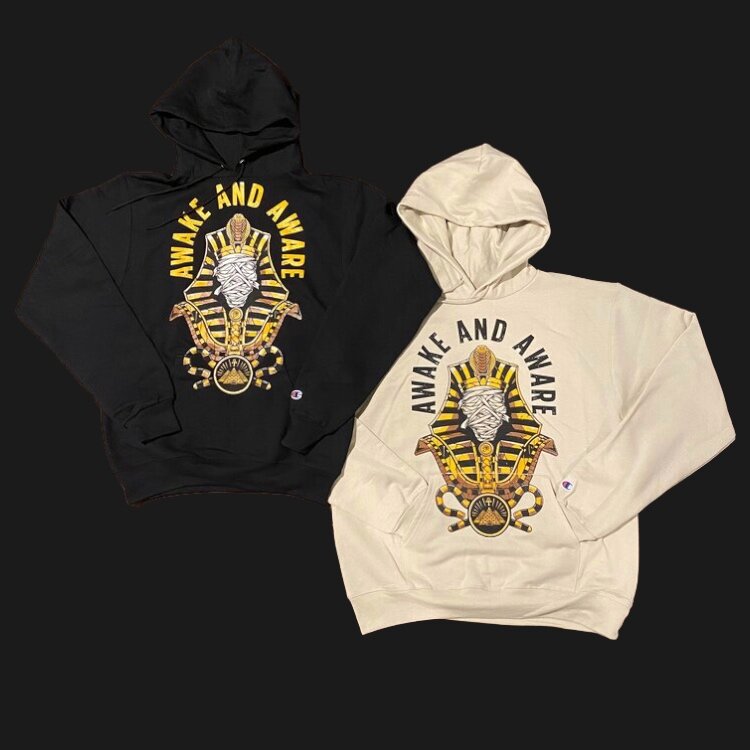 Vintage Awake Aware Champion Hoodie — Year Of The First Dynasty