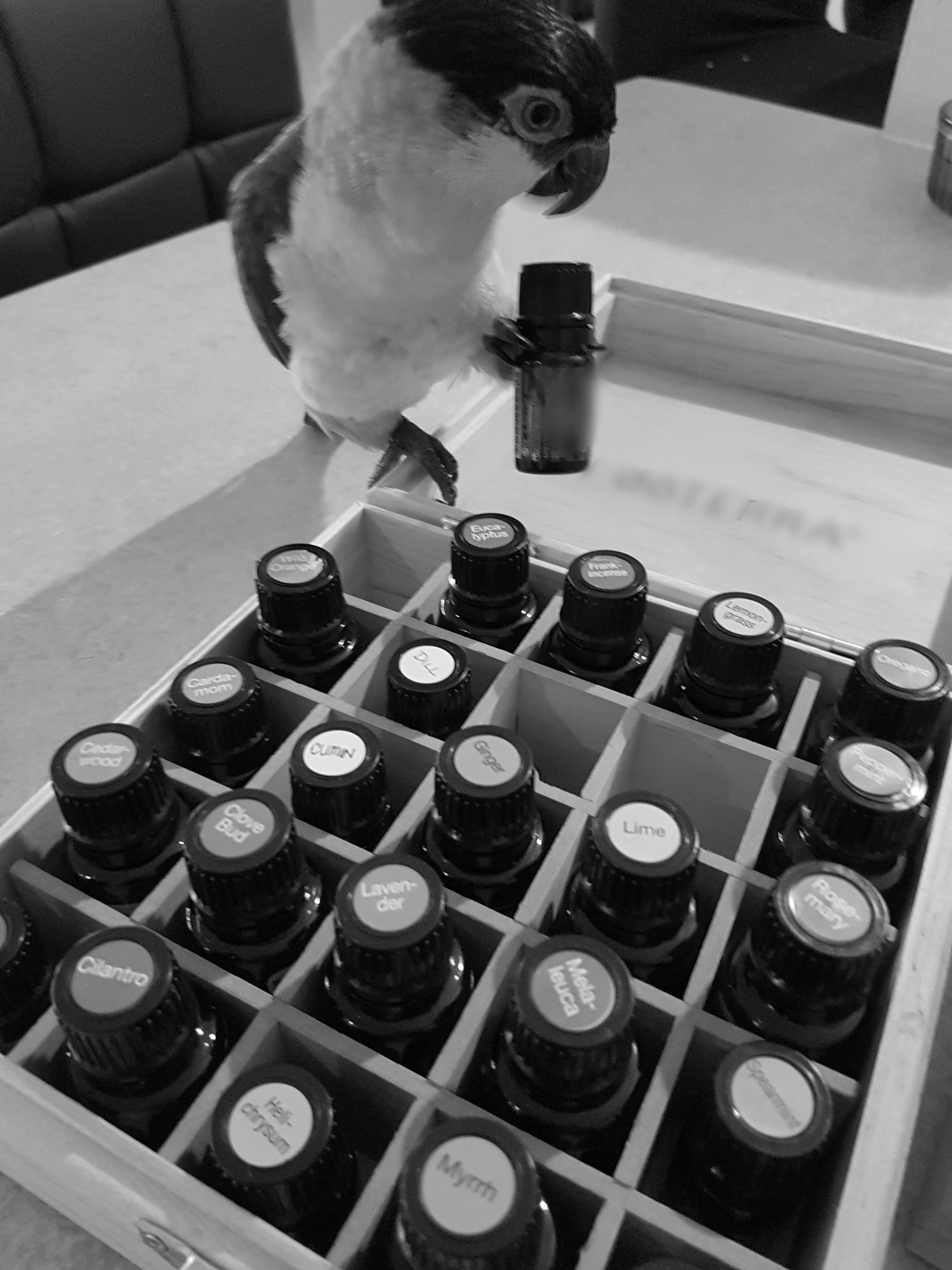 20160708_073953.jpg