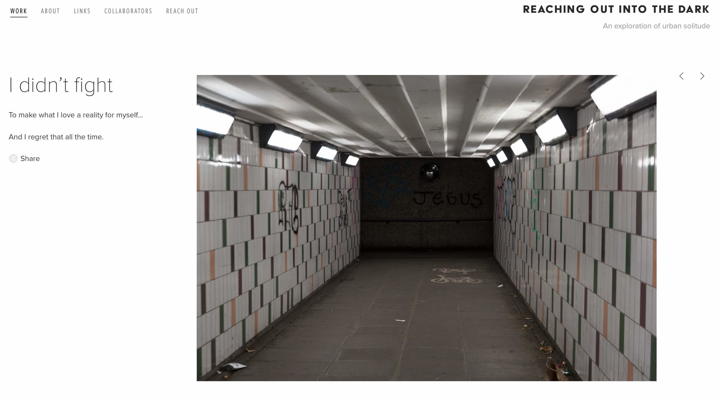 Text presented alongside images on the project website