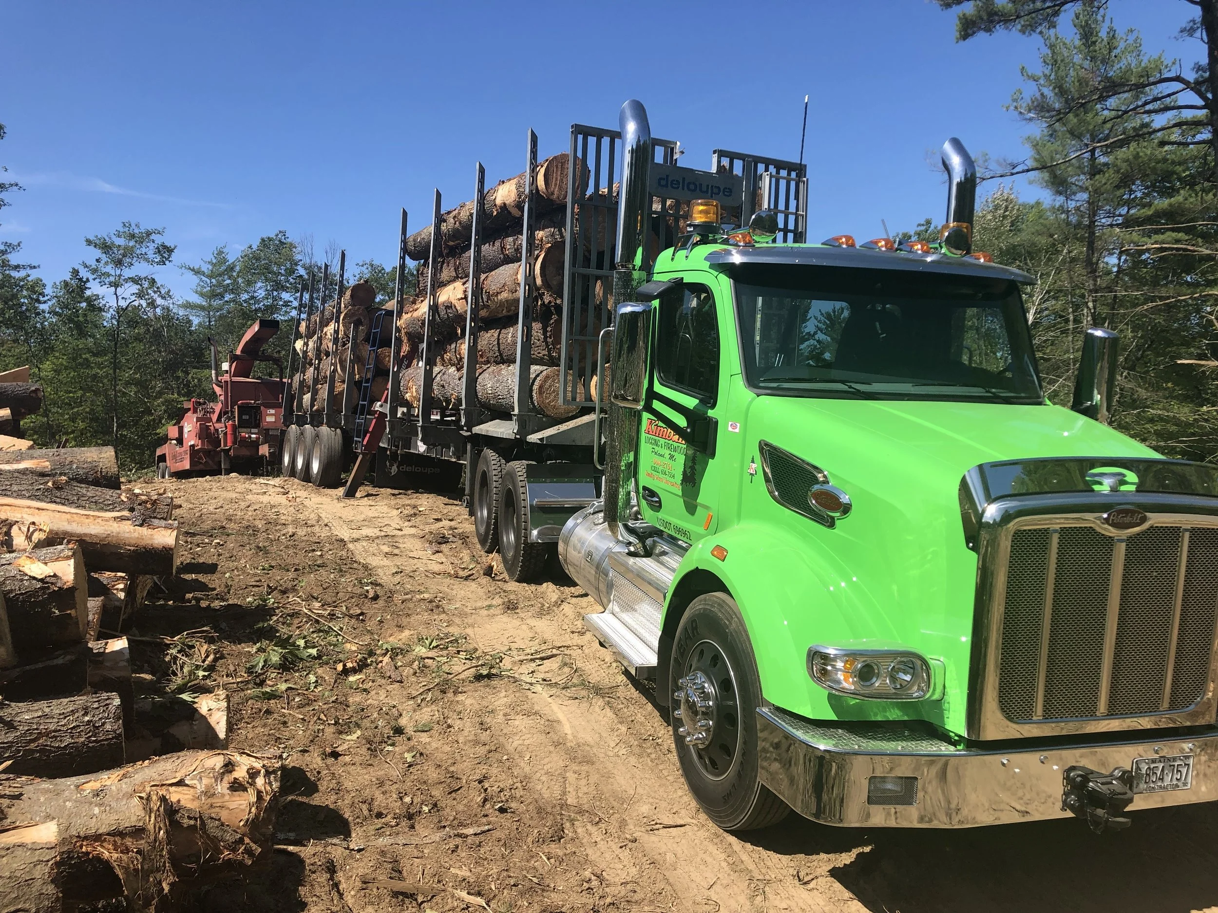 This Week in the Woods