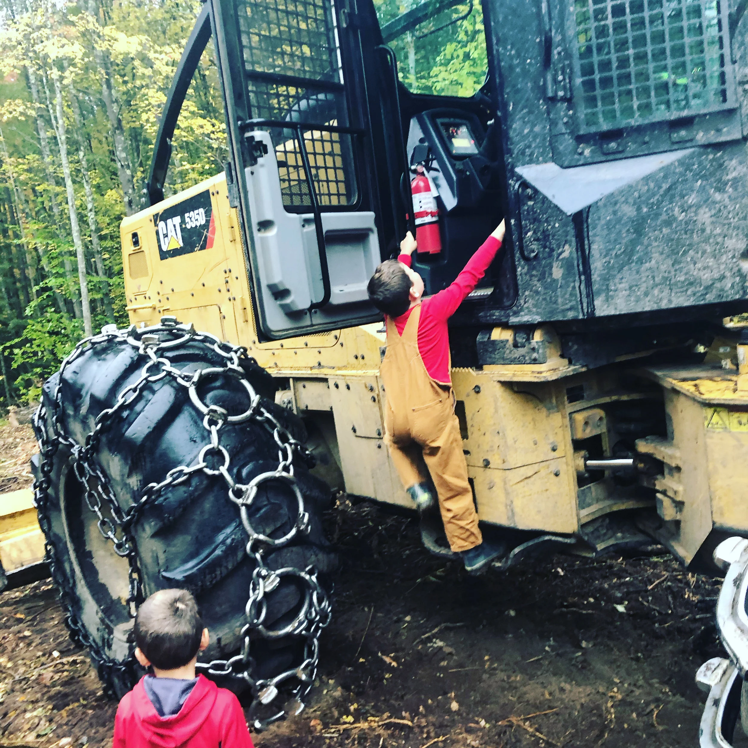 This Week in the Woods