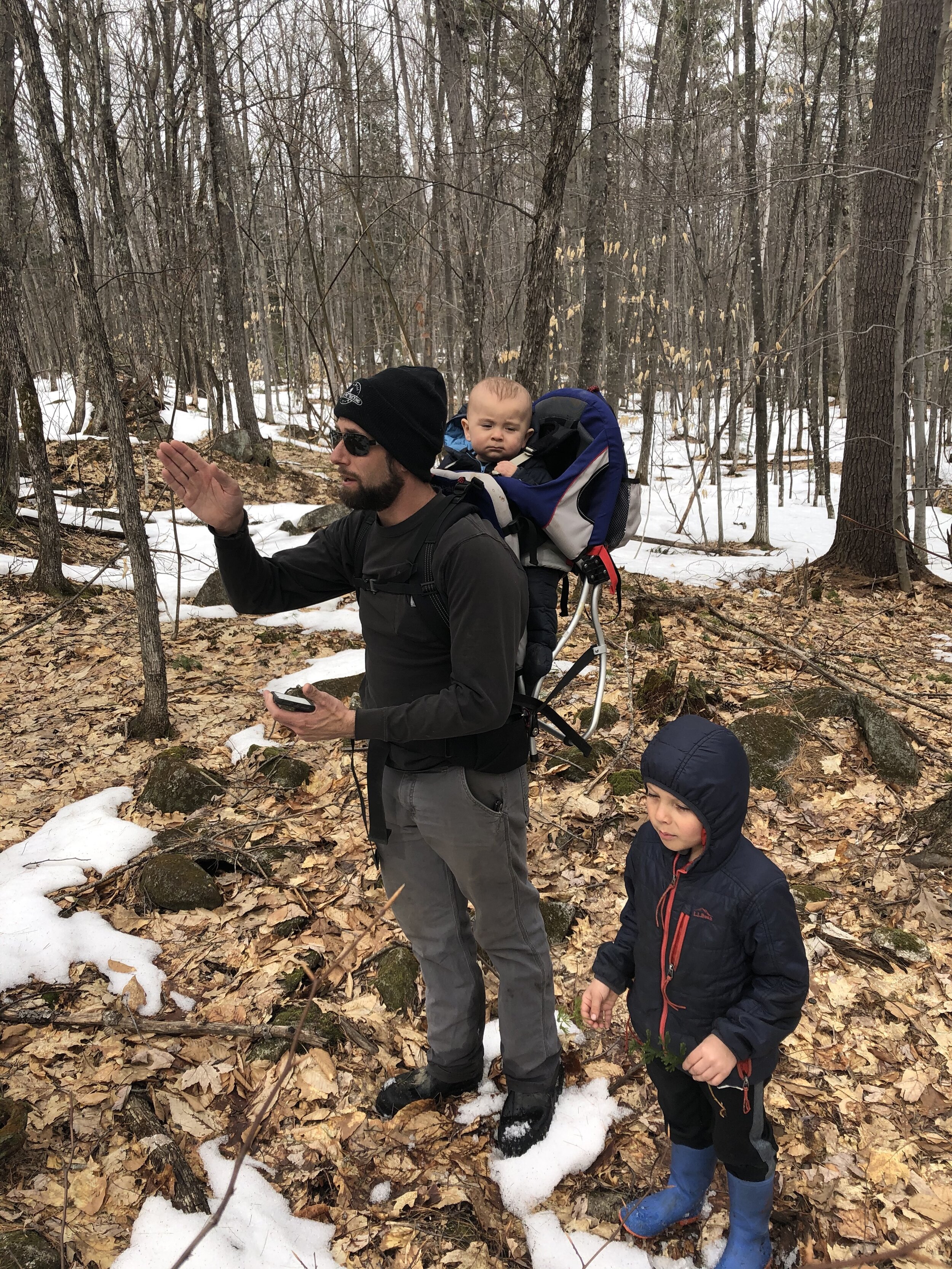 This Week out of the Woods
