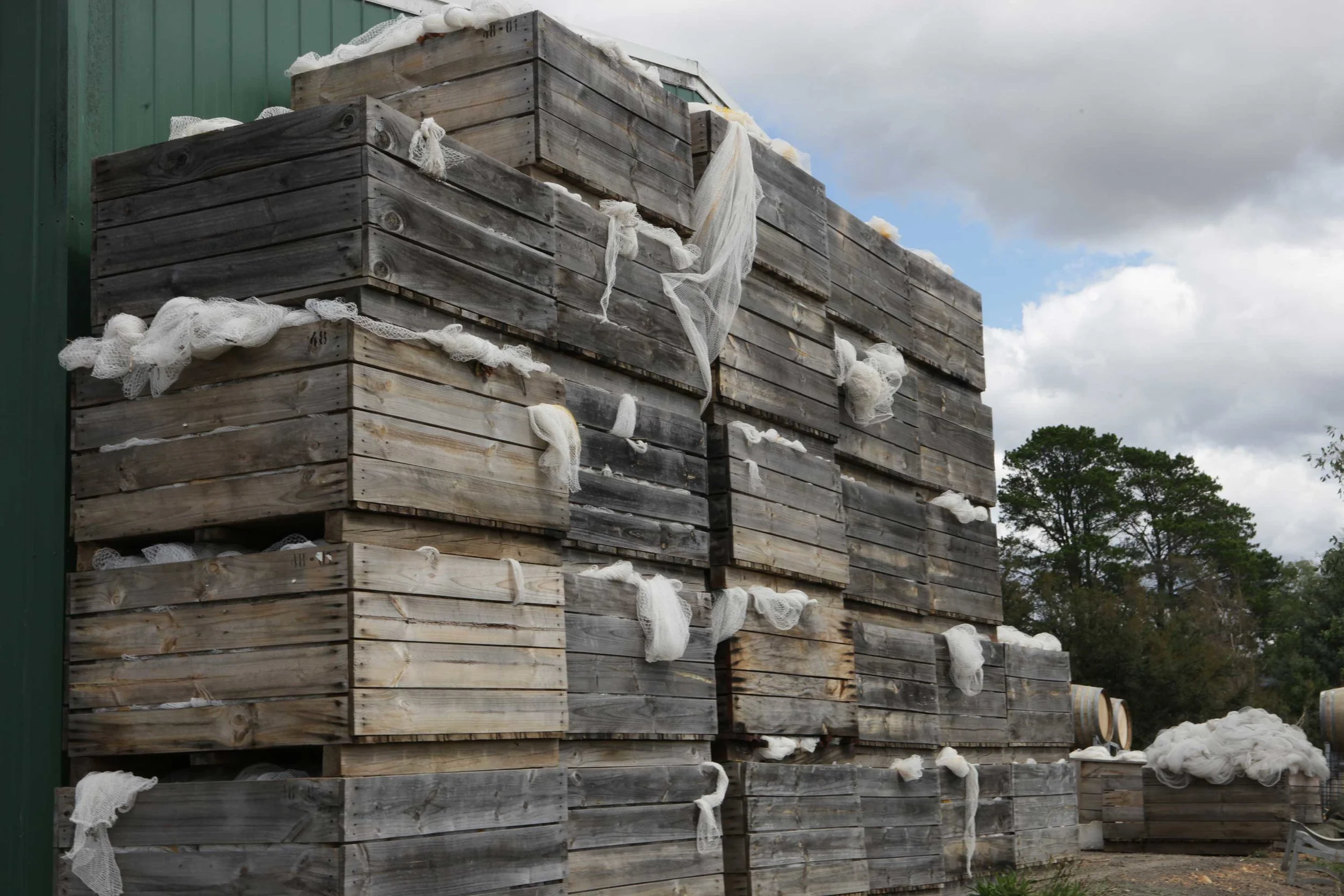 March-21-2010-Harvest-835-web.jpg