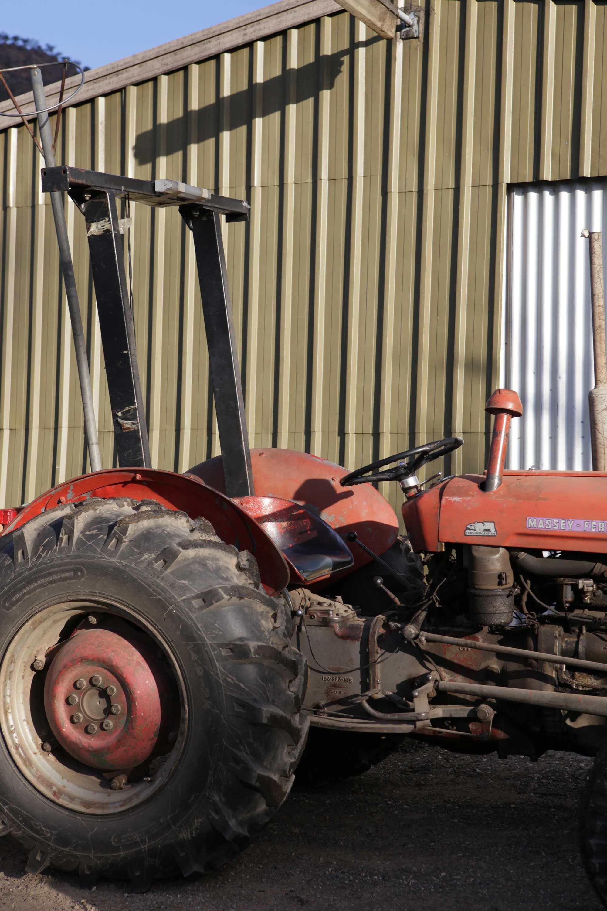 March-21-2010-Harvest-980-web.jpg