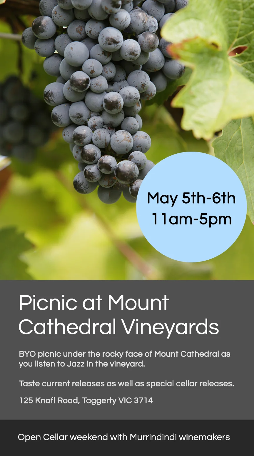 Picnic-at-Mt-Cathedral-2018-web.jpg