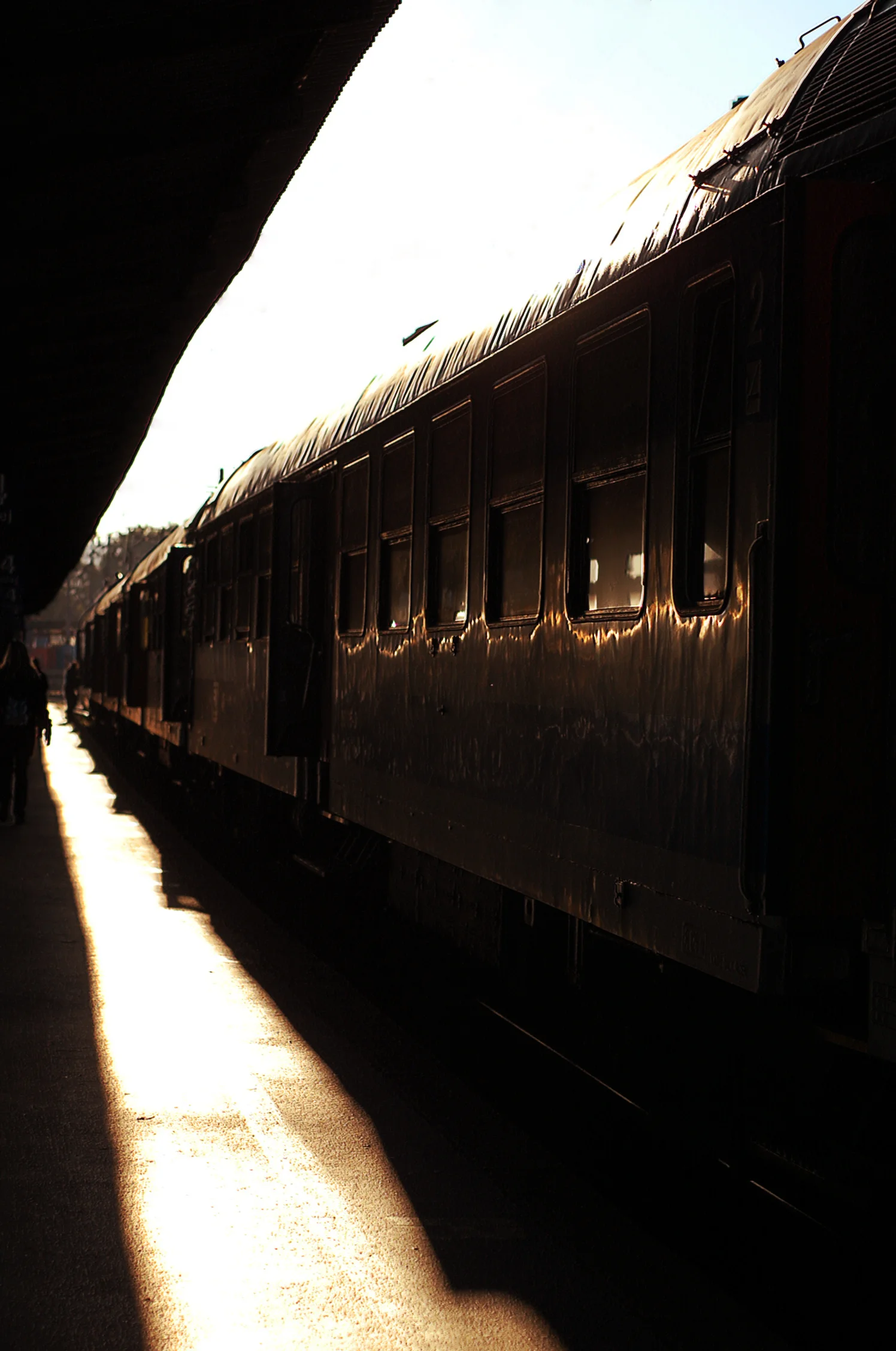 DSC_4492.jpg