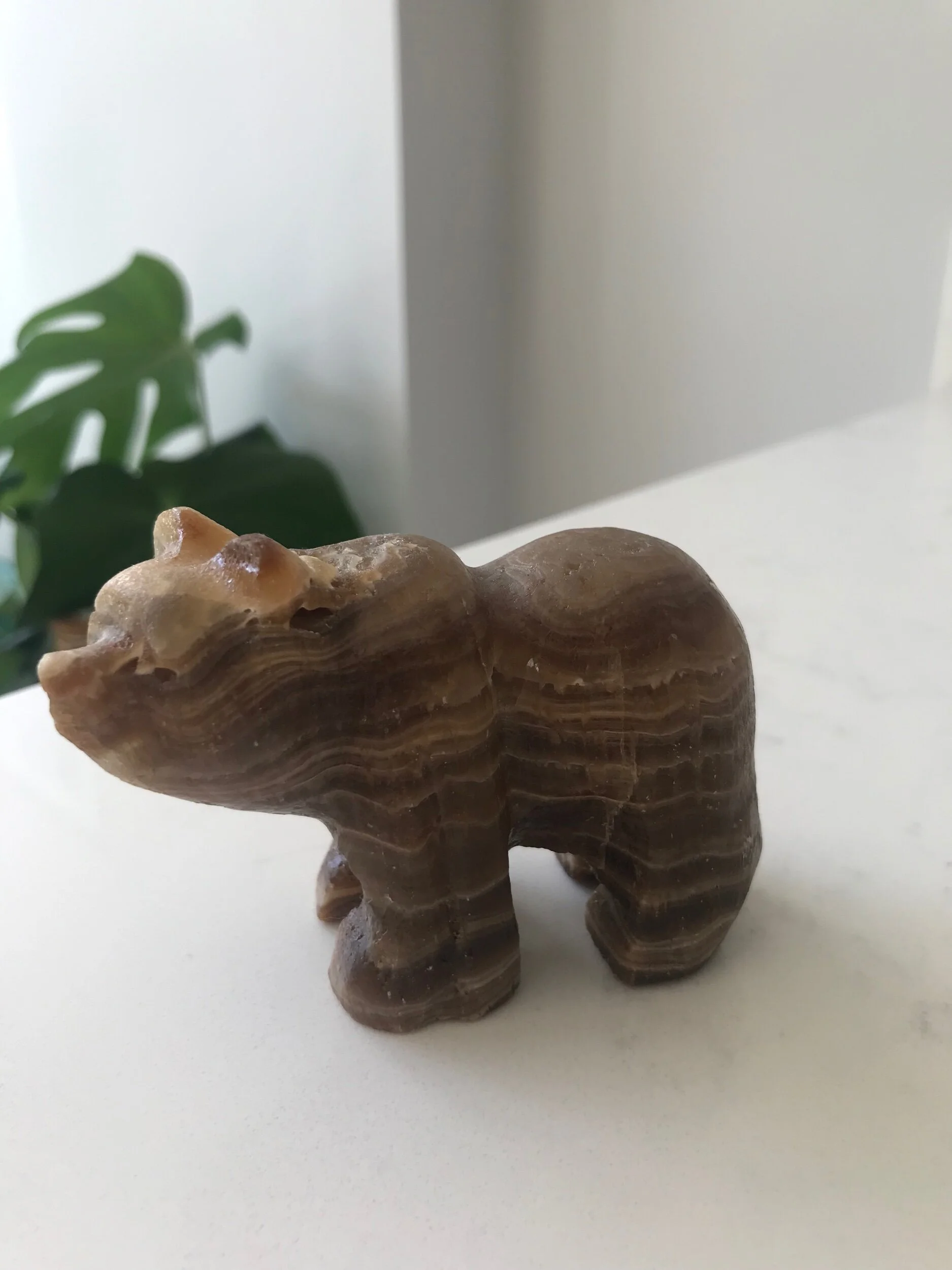 1AD59CC7-272F-4D7E-9847-1251B73964A0